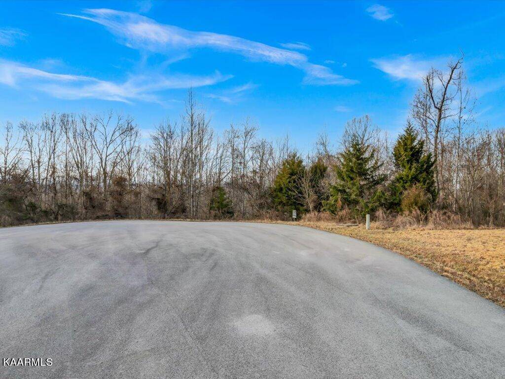 New Tazewell, TN 37825,Lot 243 Tanzanite Tr