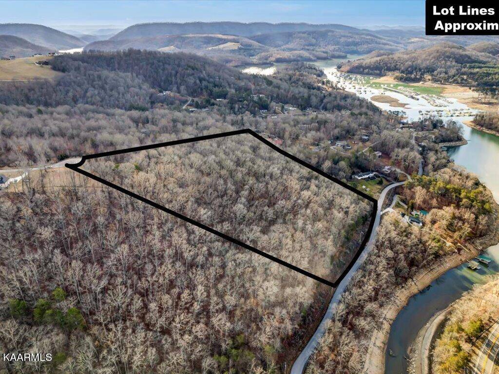 New Tazewell, TN 37825,Lot 243 Tanzanite Tr