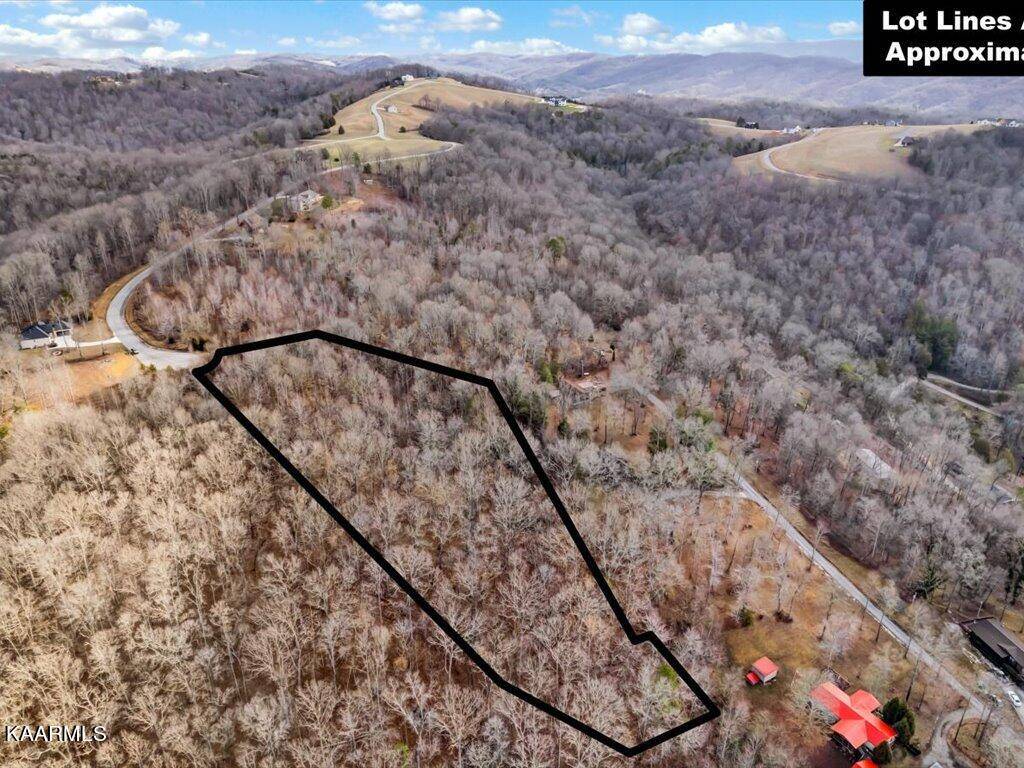 New Tazewell, TN 37825,Lot 244 Tanzanite Tr