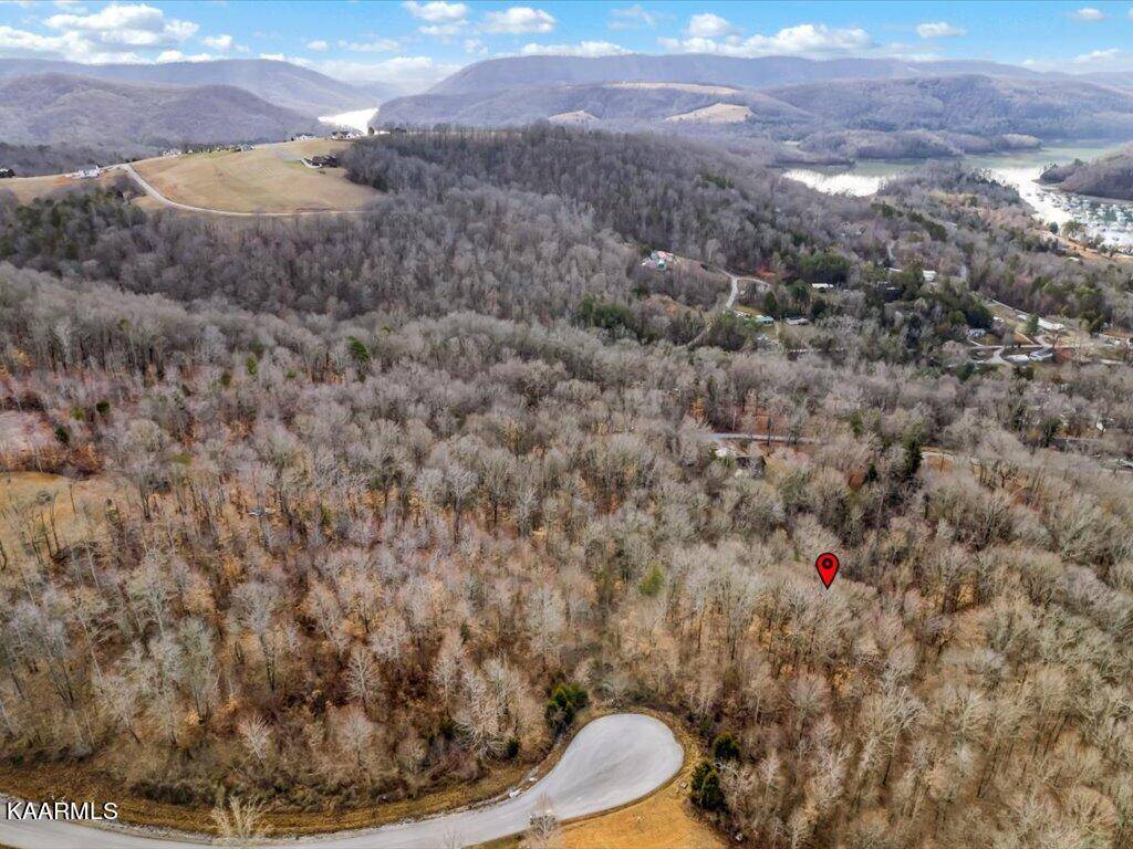 New Tazewell, TN 37825,Lot 244 Tanzanite Tr