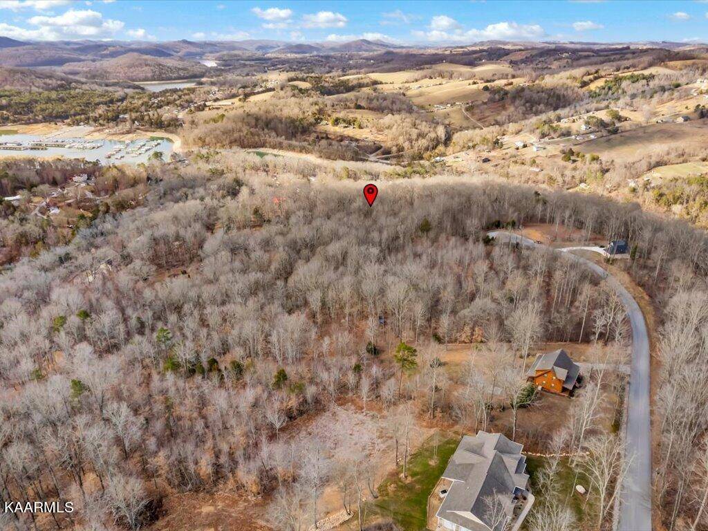 New Tazewell, TN 37825,Lot 244 Tanzanite Tr