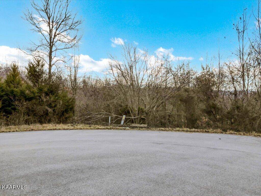 New Tazewell, TN 37825,Lot 244 Tanzanite Tr