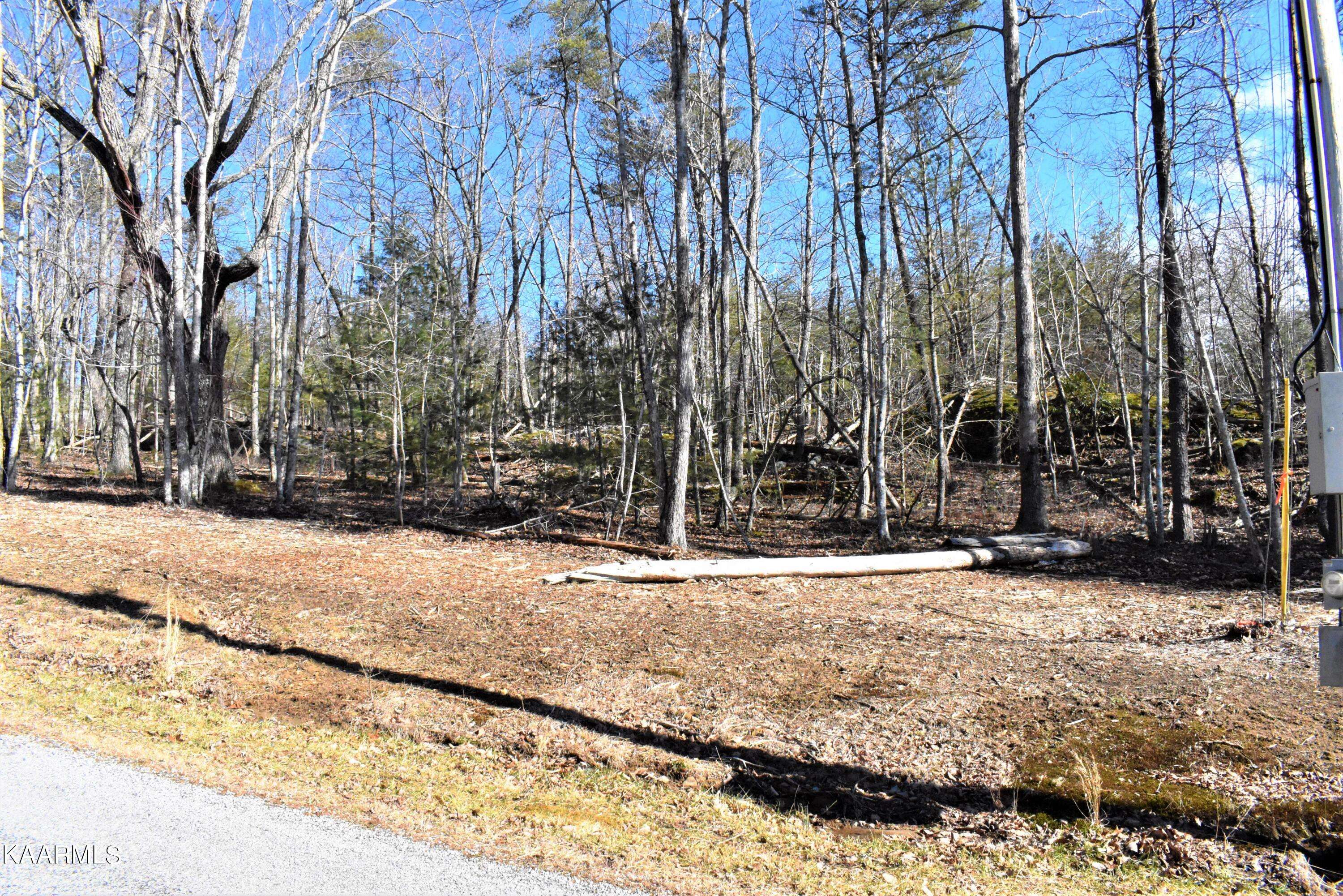 Fairfield Glade, TN 38558,151 Markham LN