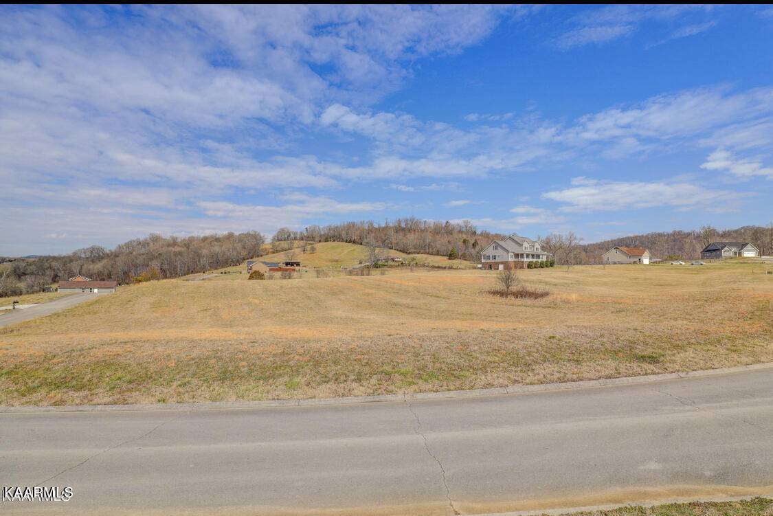 Blaine, TN 37709,River Stone DR