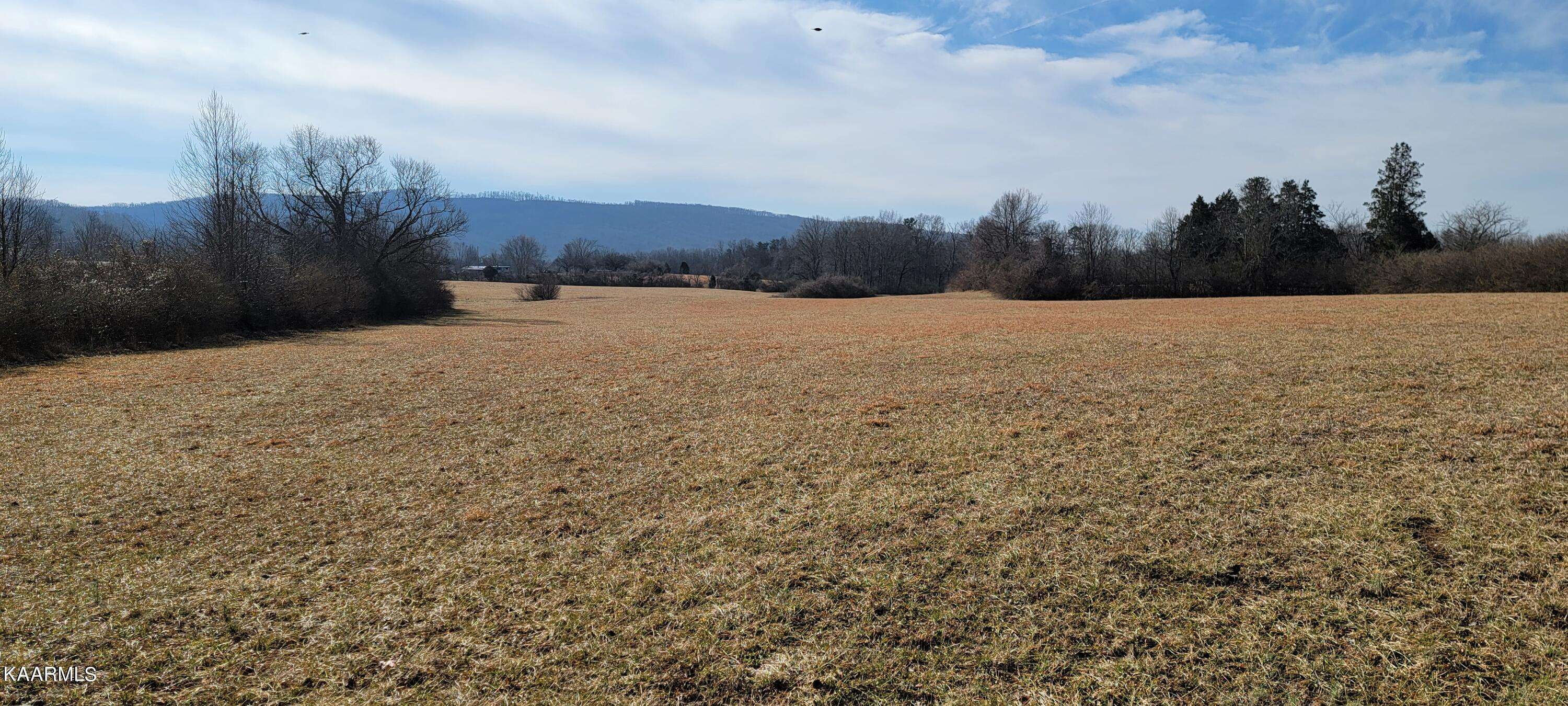 Rockwood, TN 37854,Lot 5-8 Westel Rd