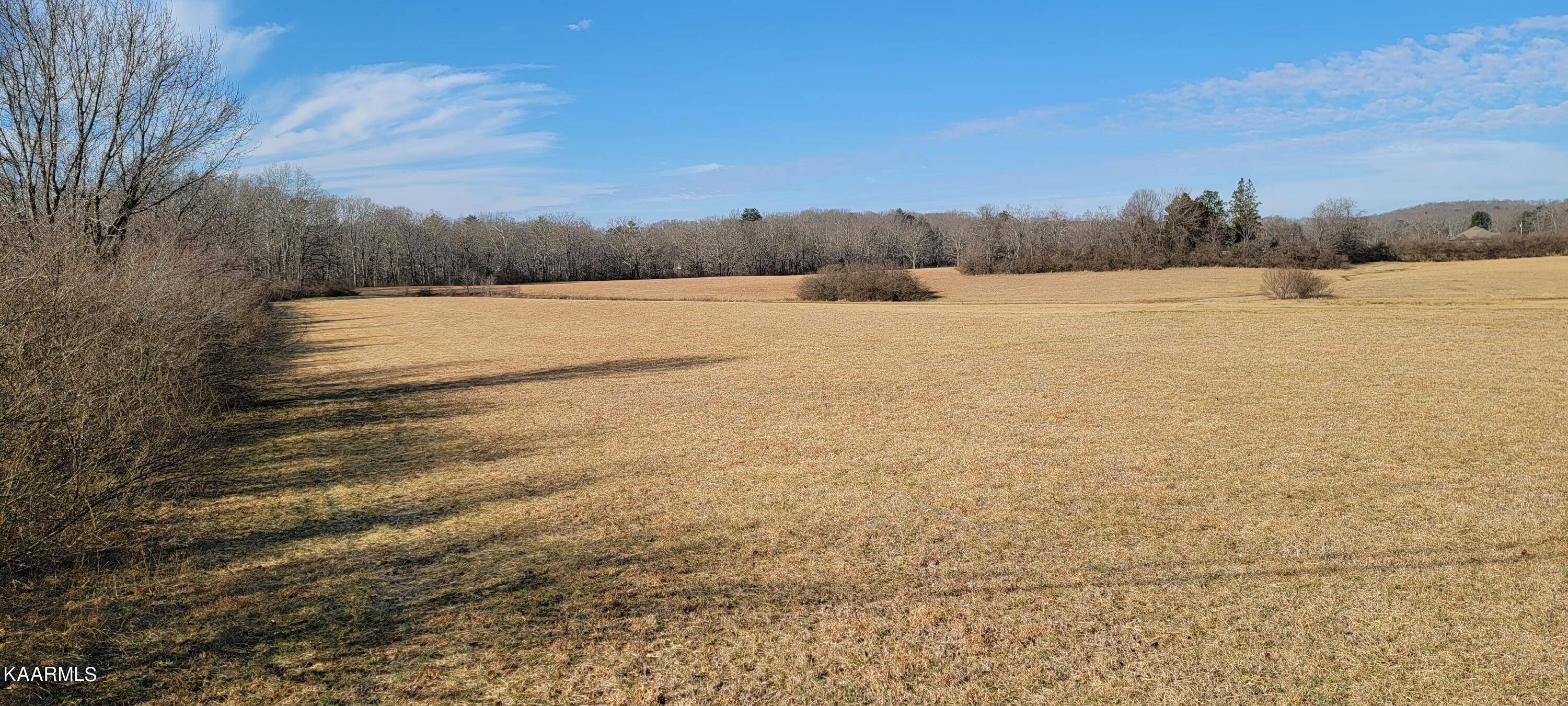 Rockwood, TN 37854,Lot 5-8 Westel Rd