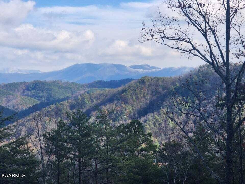 Tellico Plains, TN 37385,120 Bullet Mountain Drive