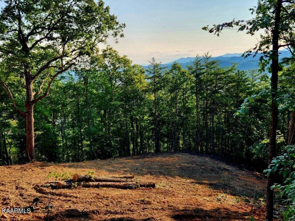 Tellico Plains, TN 37385,120 Bullet Mountain Drive