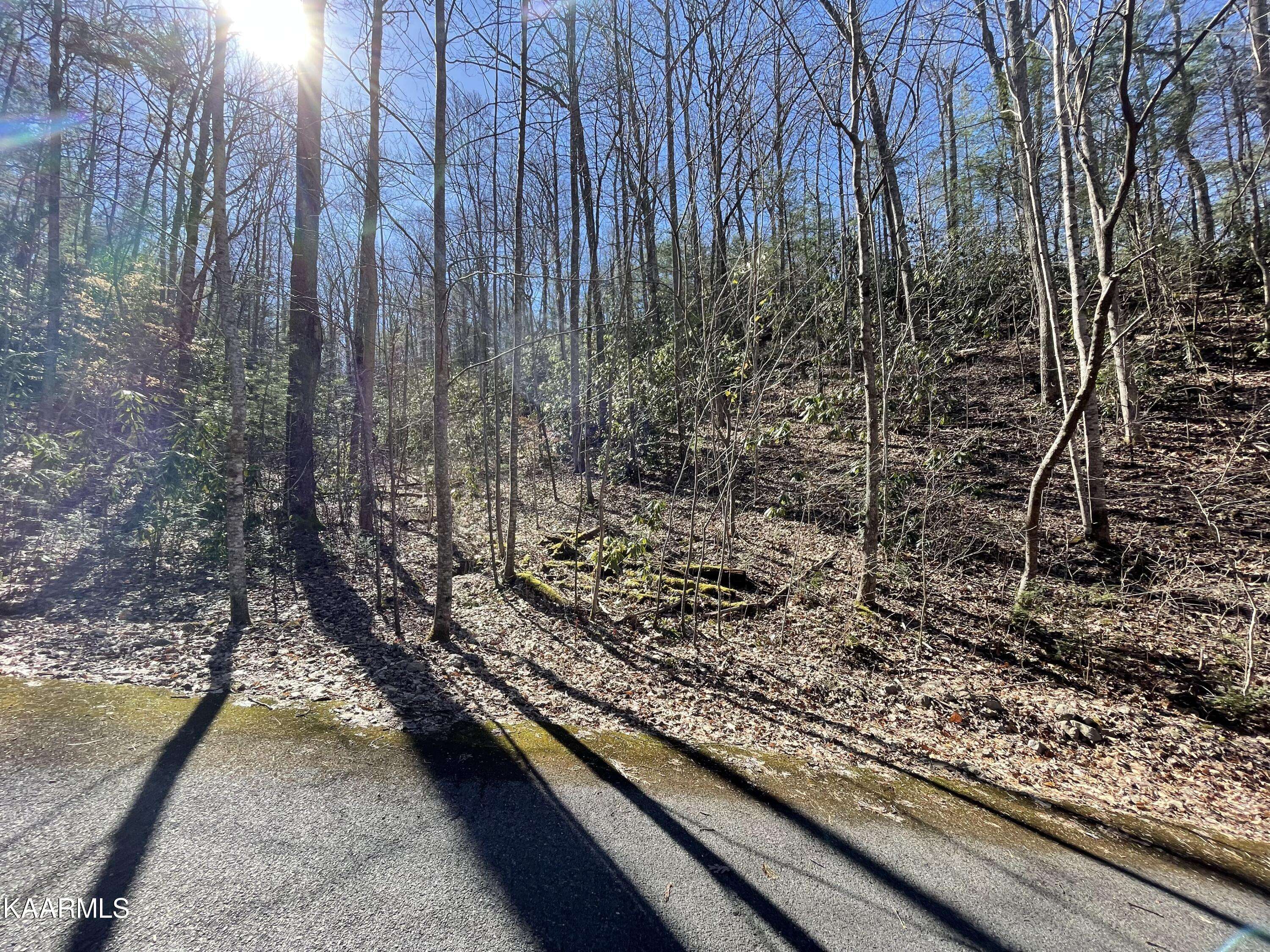 Townsend, TN 37882,Lot 13 Stonegate WAY