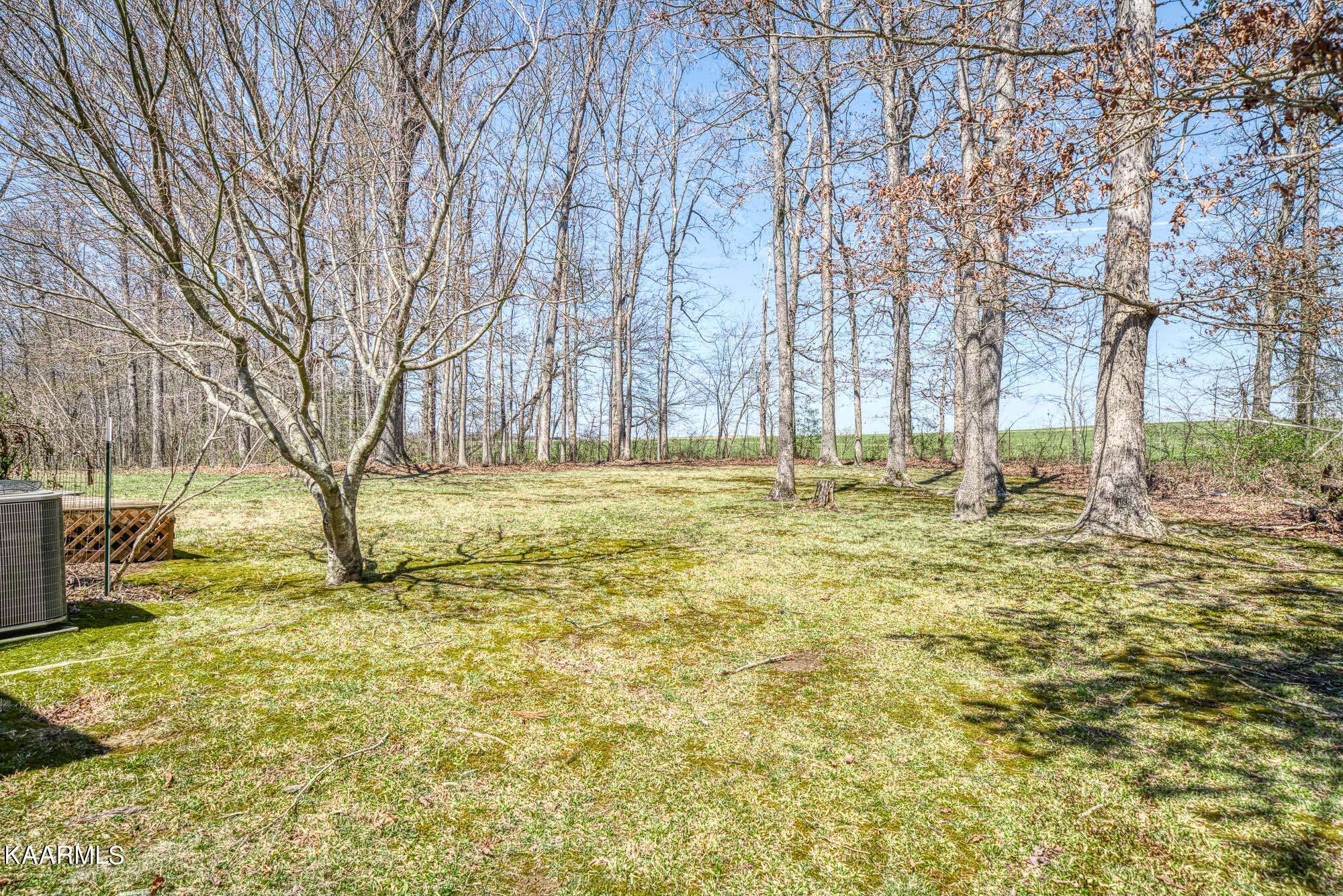 Clarkrange, TN 38553,1075 Pine Ridge LN