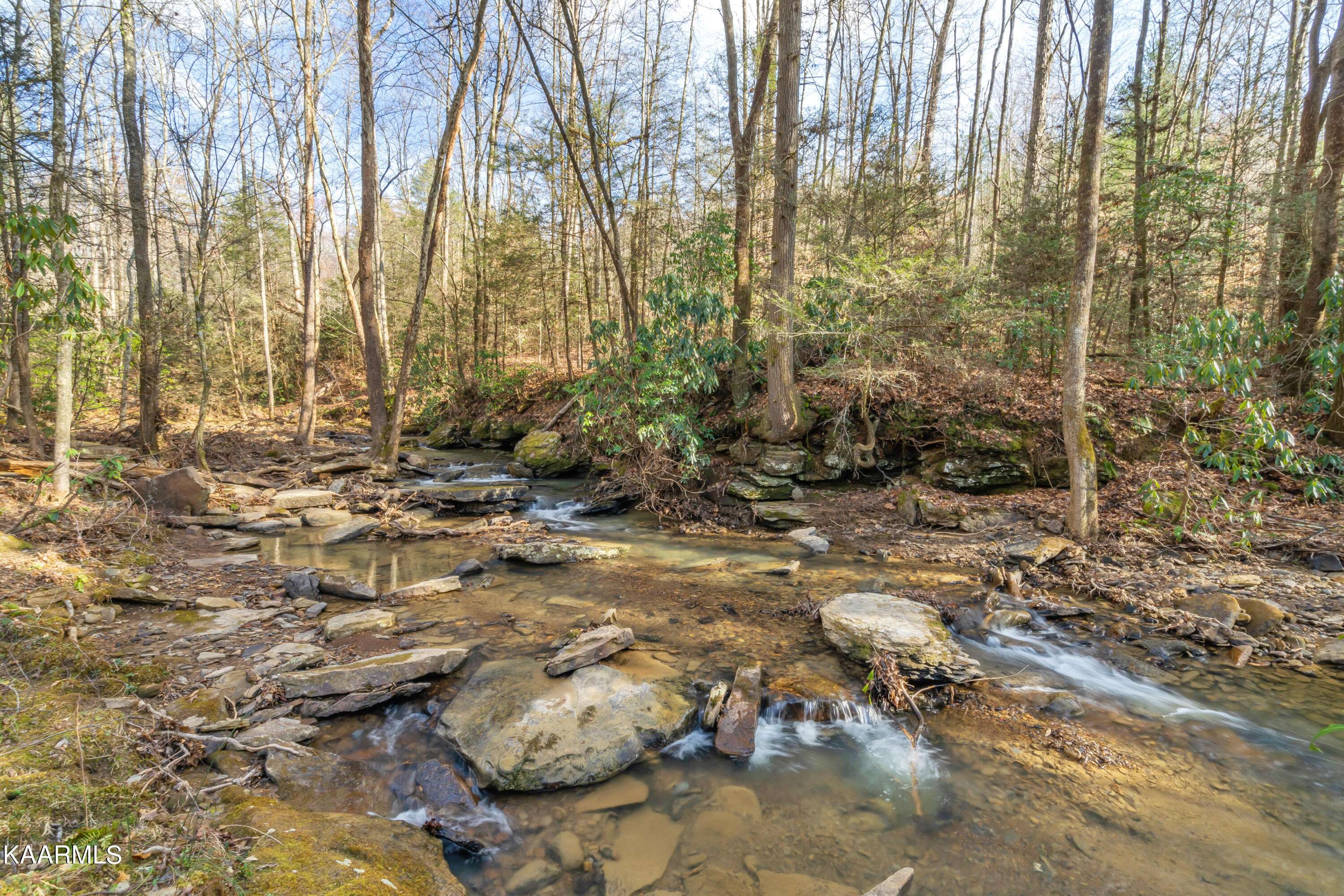 Oliver Springs, TN 37840,Mountain Rd