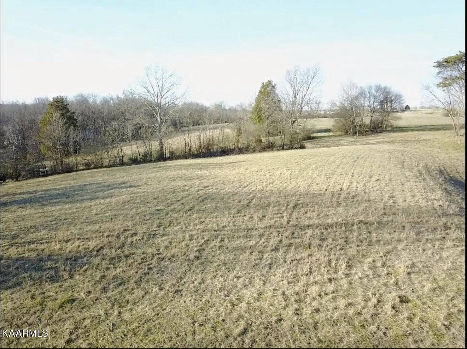 Walland, TN 37886,Lot 1 Prospect Rd