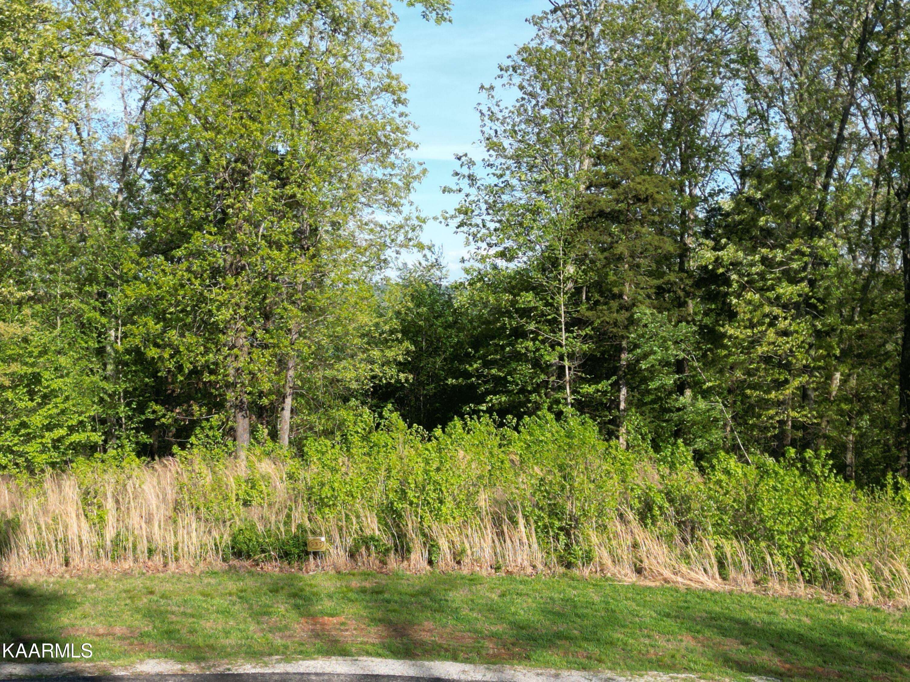 Rockwood, TN 37854,340 Eagle Ridge DR #Lot 537