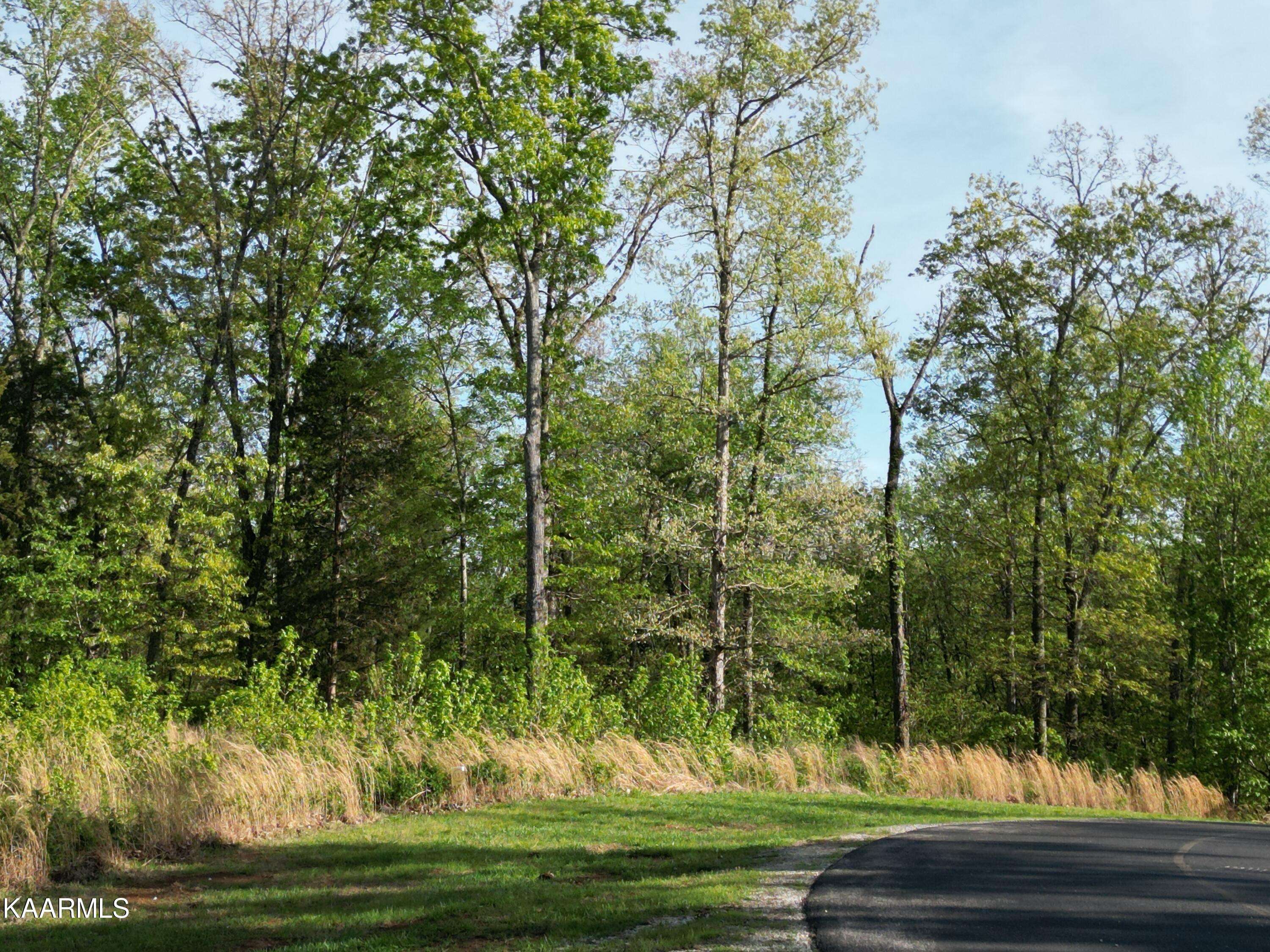 Rockwood, TN 37854,340 Eagle Ridge DR #Lot 537