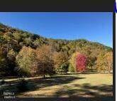 Tellico Plains, TN 37385,216 Rafter Rd.