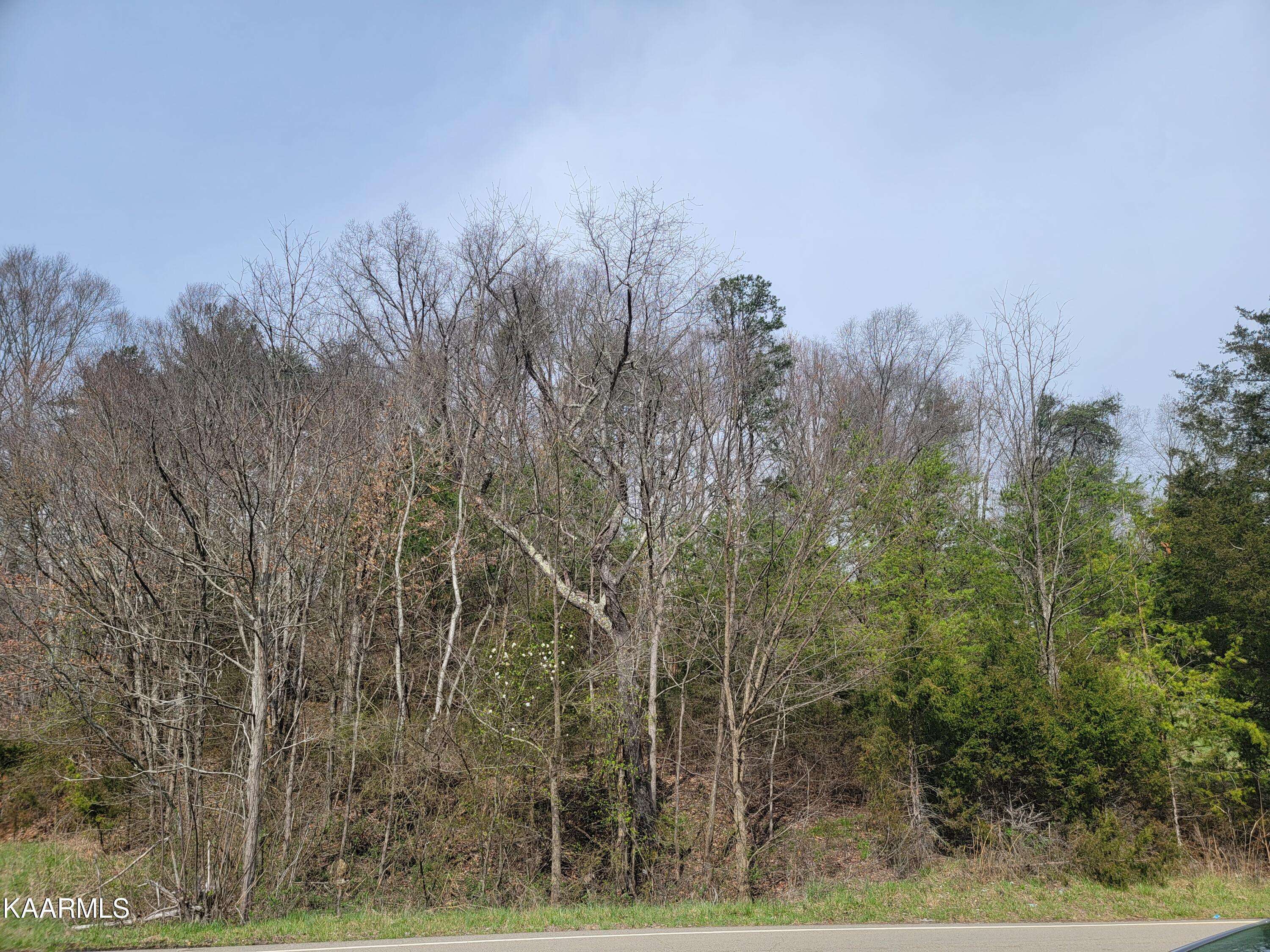 Chuckey, TN 37641,Chuckey Pk (Lot 10)