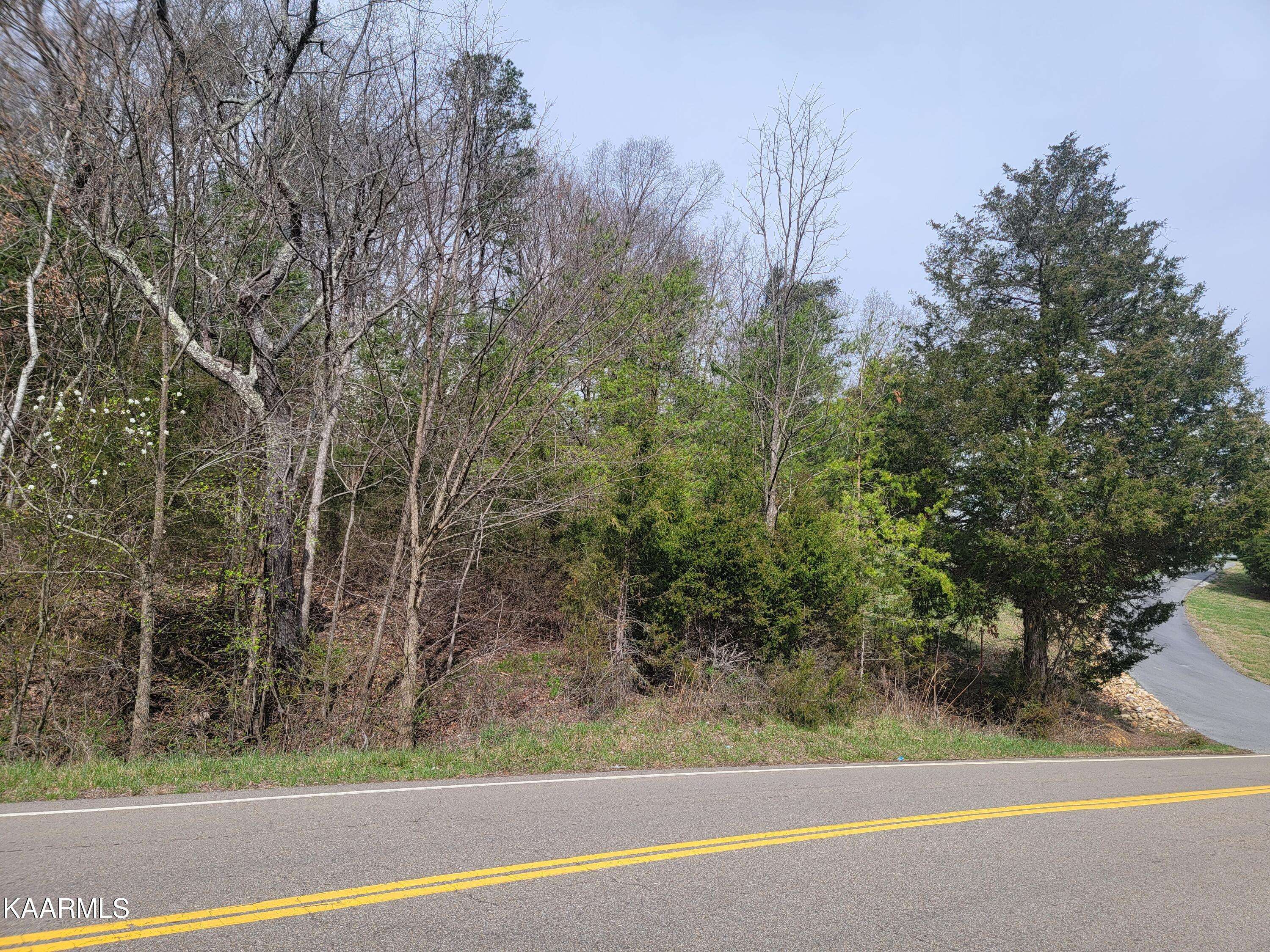 Chuckey, TN 37641,Chuckey Pk (Lot 10)