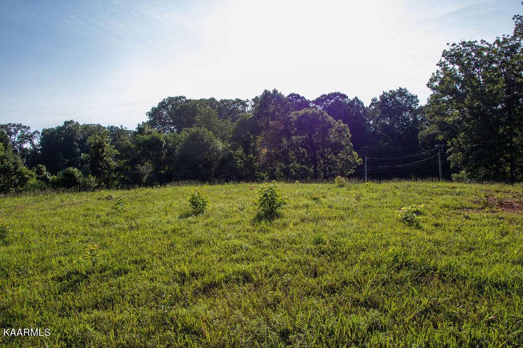 Strawberry Plains, TN 37871,Dogwood Meadows Drive