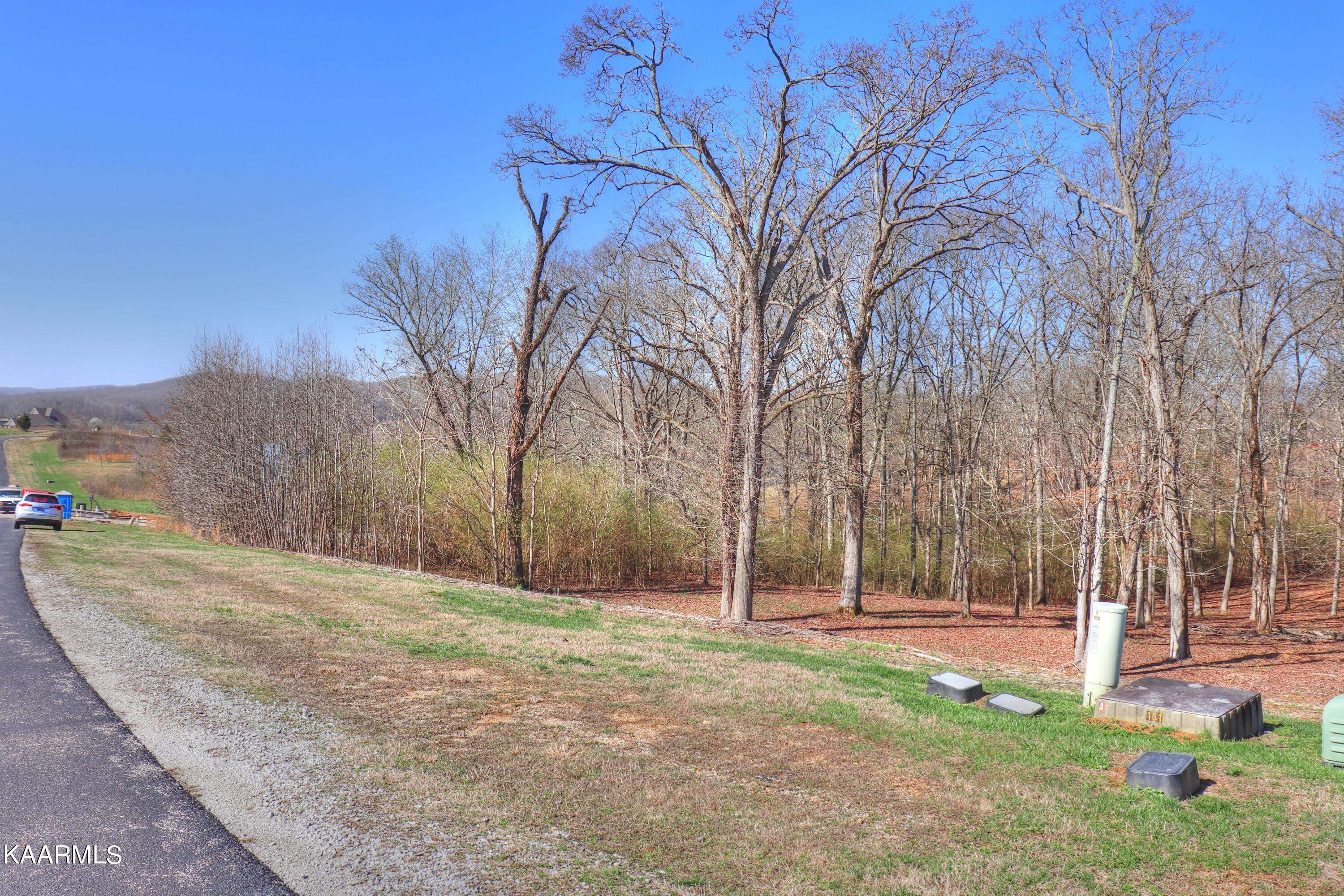 Rockwood, TN 37854,Lot 347 Water View DR