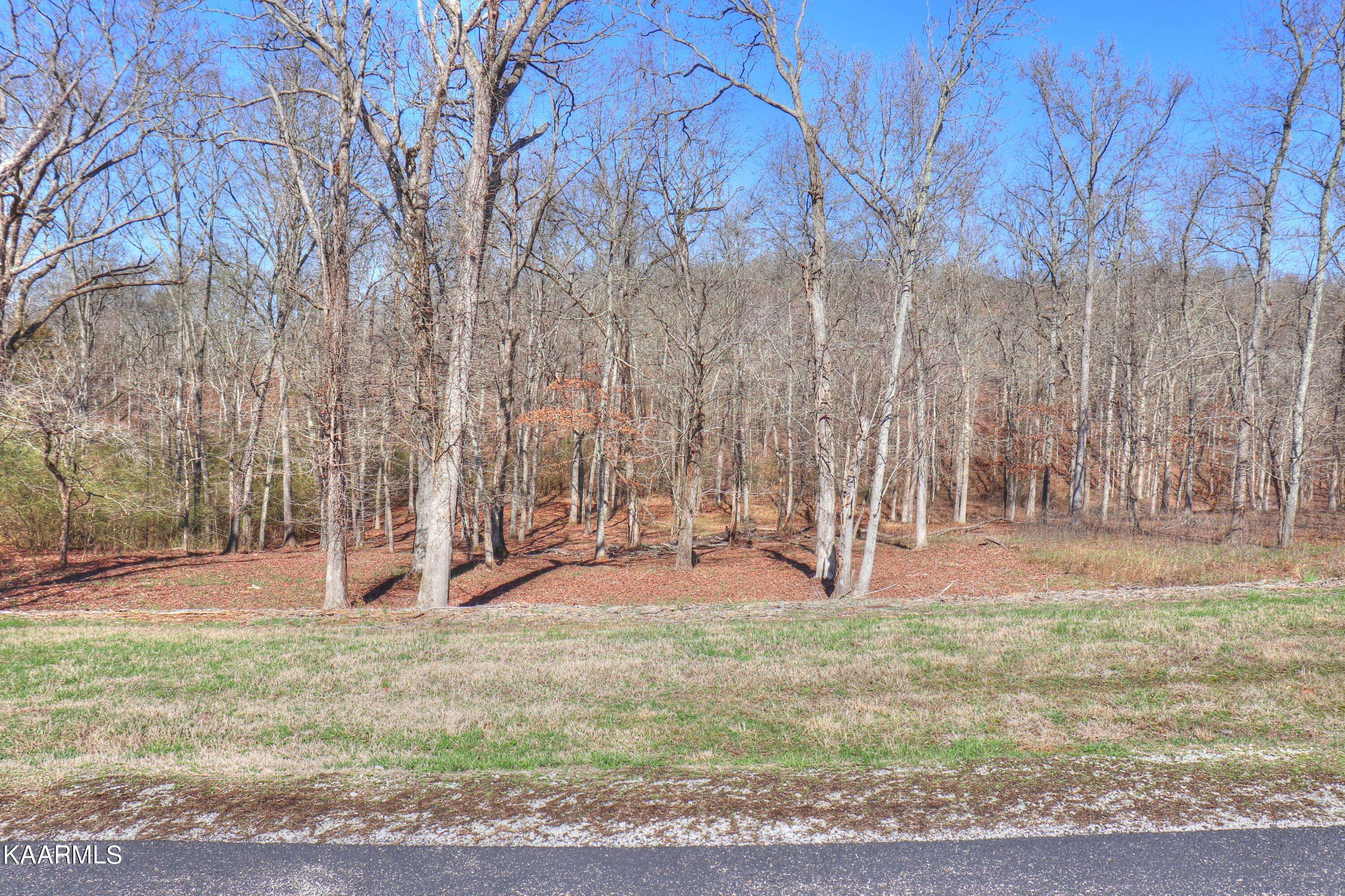 Rockwood, TN 37854,Lot 347 Water View DR