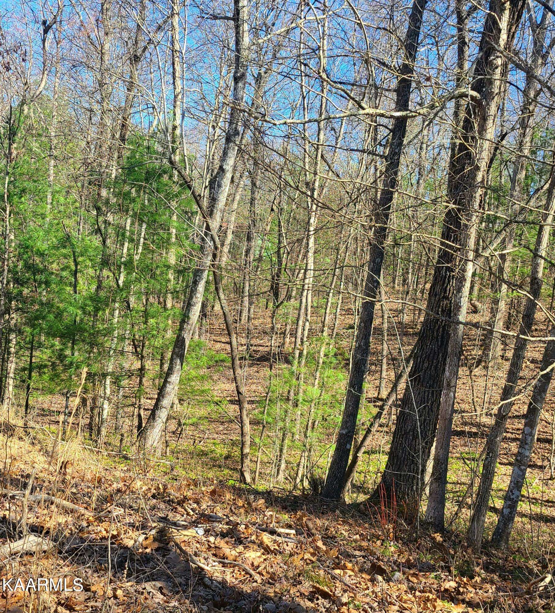 Tallassee, TN 37878,Lot 26,27 Bear Rd