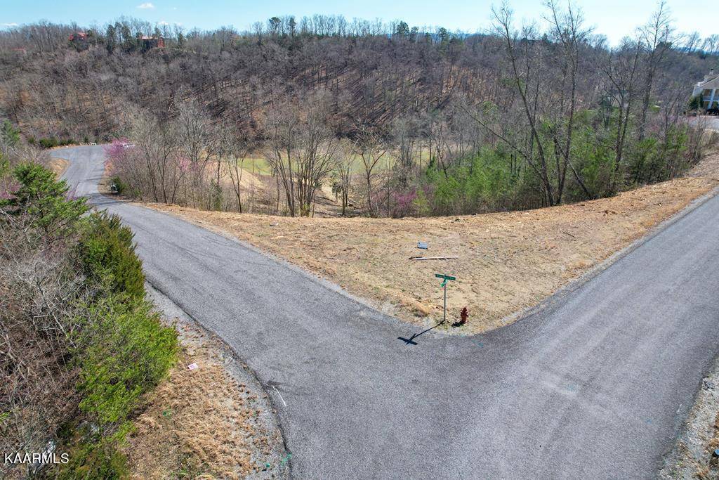 Dandridge, TN 37725,Lot 31 Stone Shore WAY