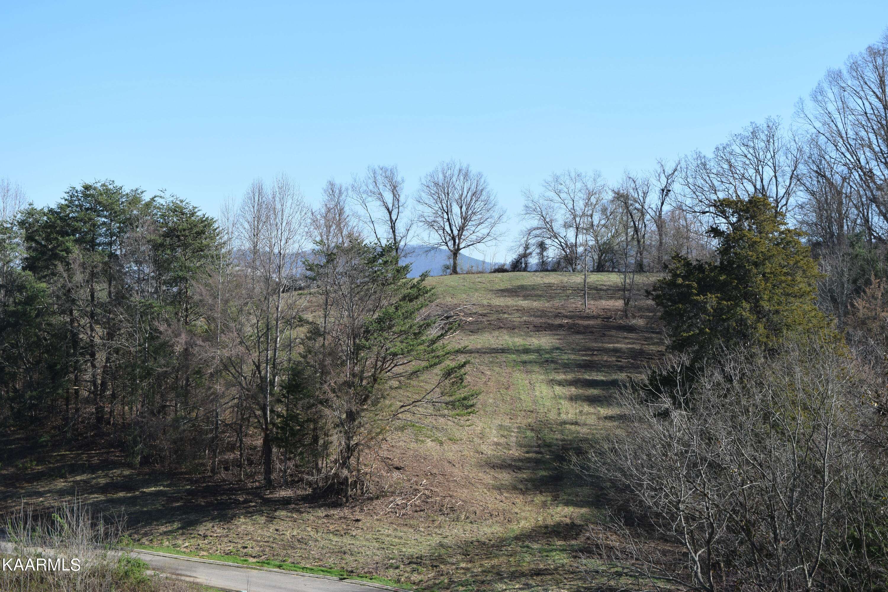 Dandridge, TN 37725,lot 19 Woodland Creek DR