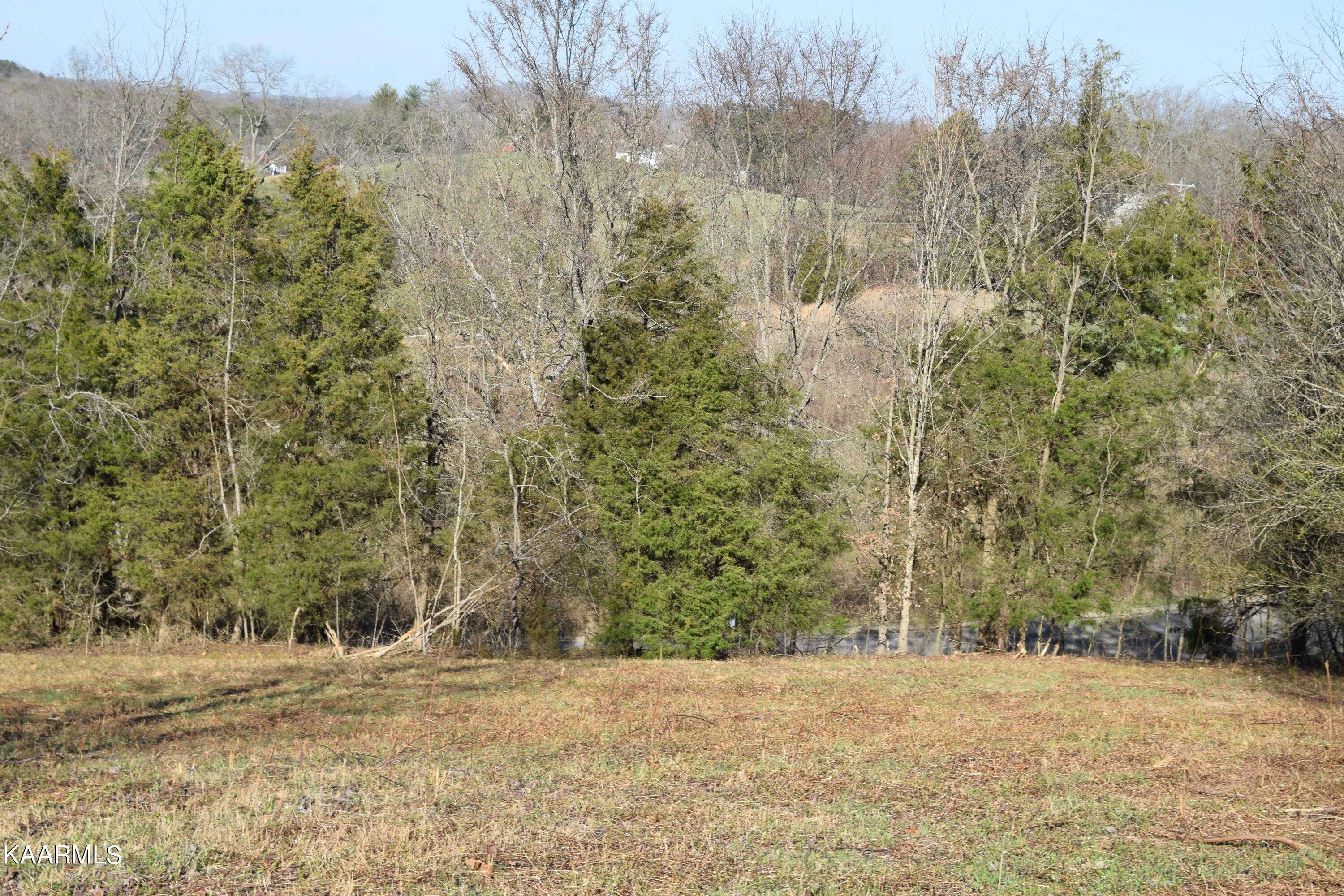 Dandridge, TN 37725,lot 19 Woodland Creek DR