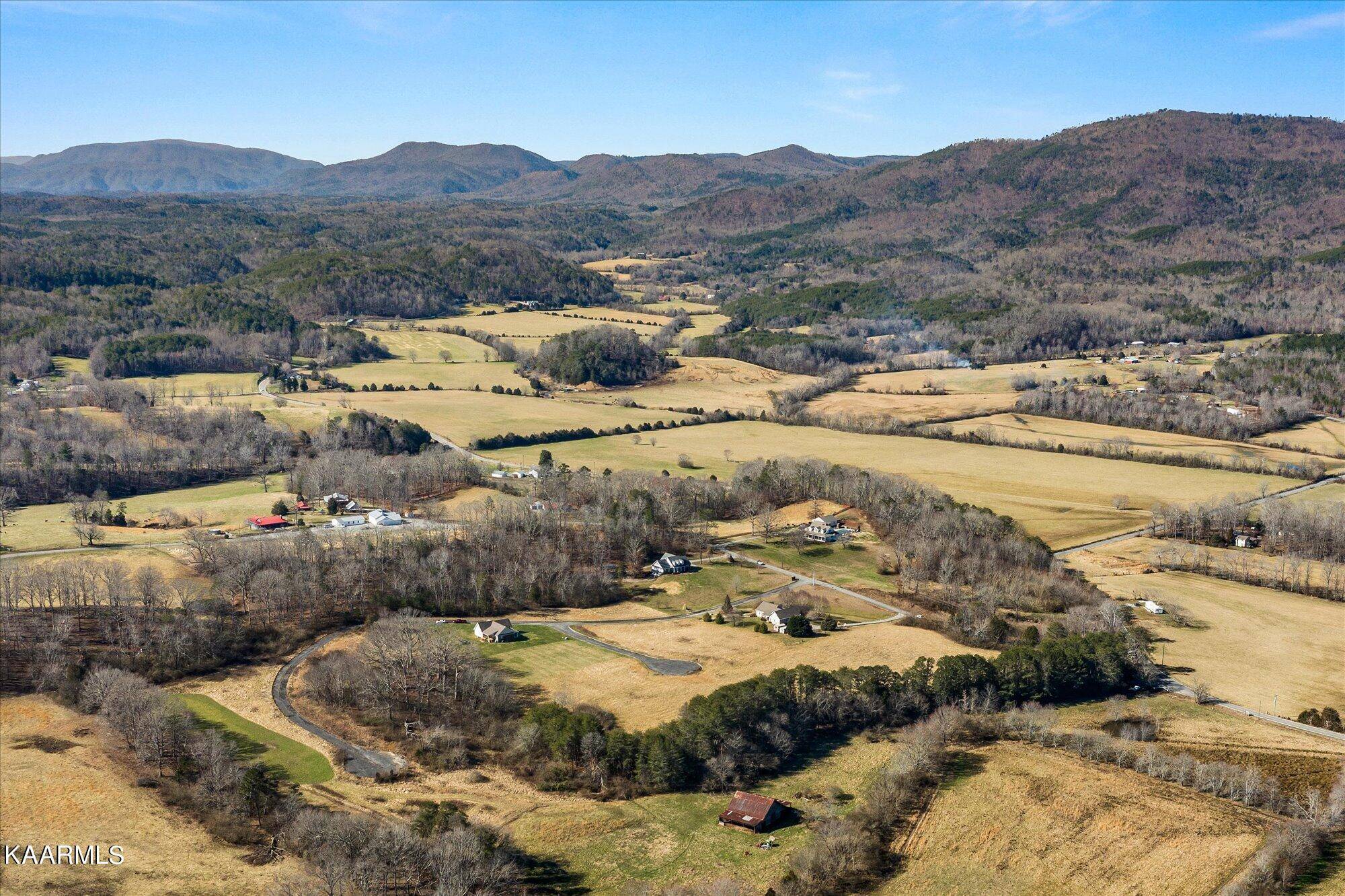 Tellico Plains, TN 37385,Towering Oaks LN