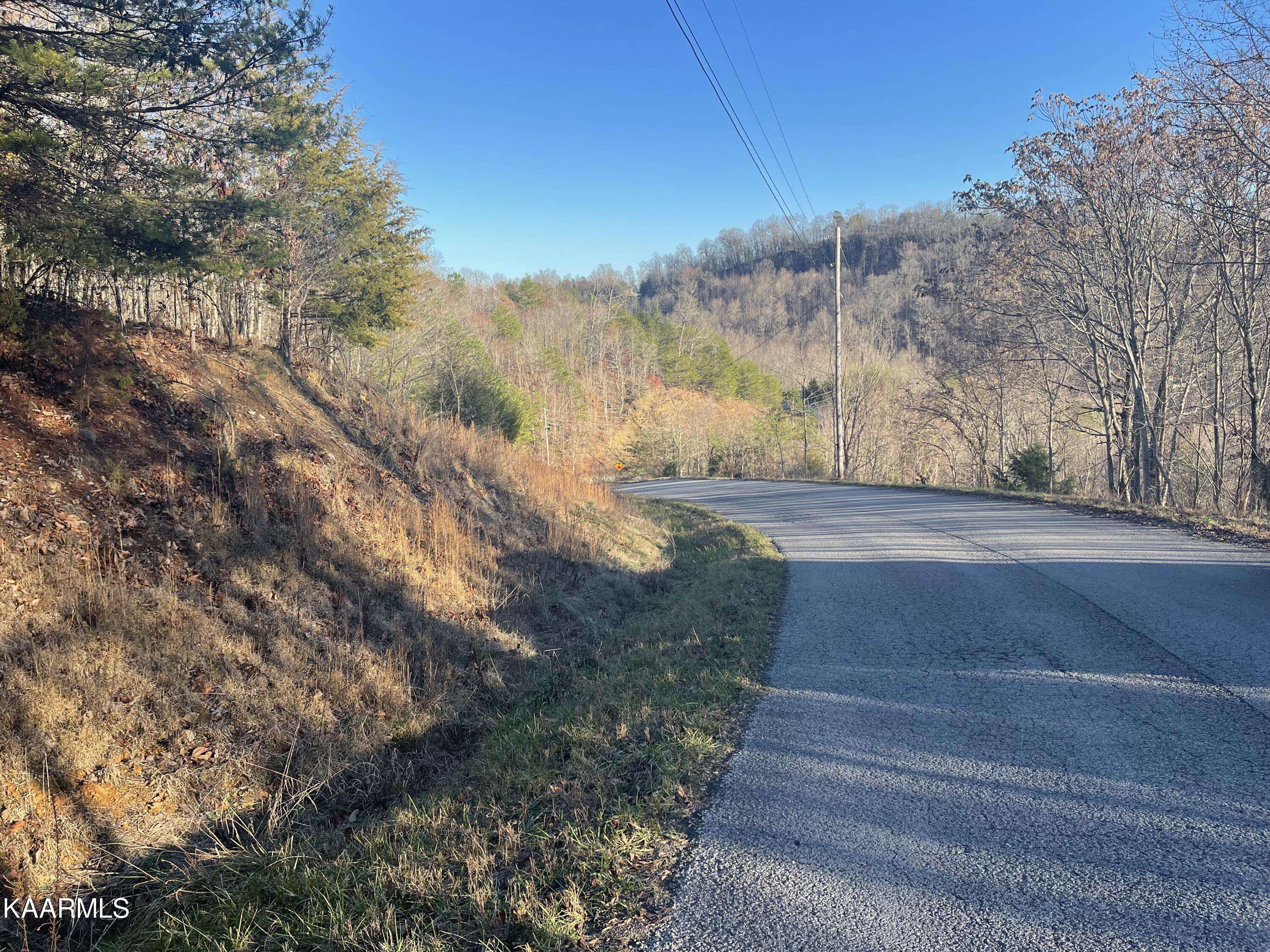 New Tazewell, TN 37825,Chimney Rock Rd (LOTS 177-180)