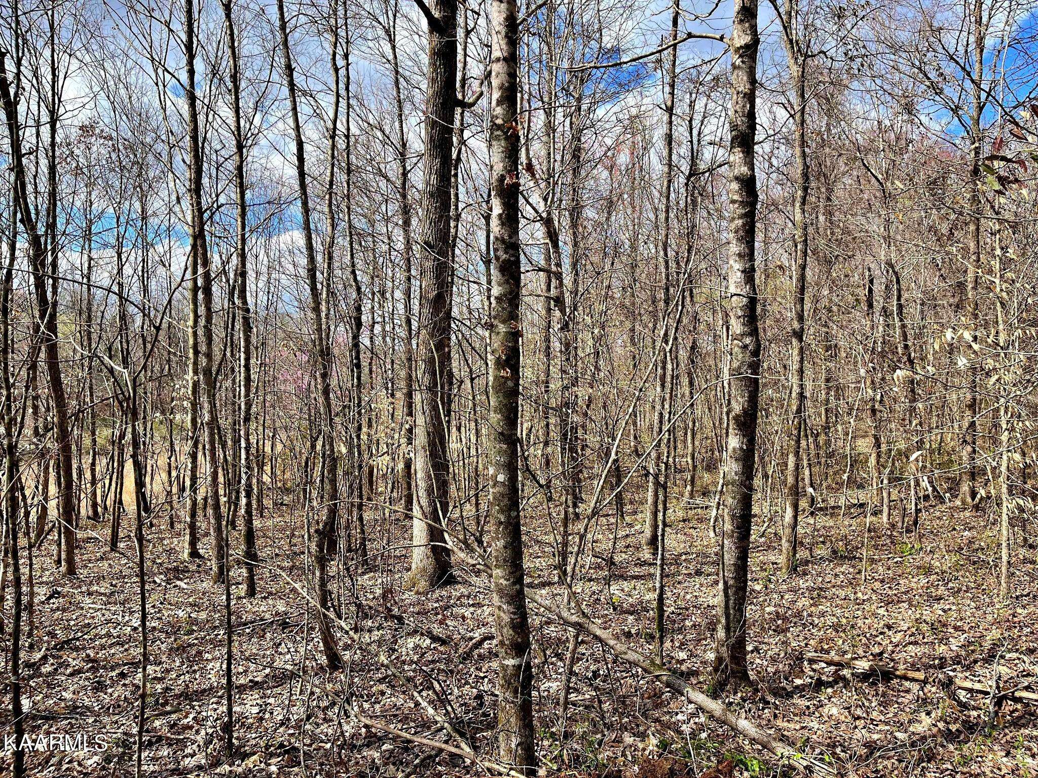 Decatur, TN 37322,Lot 2 County Road 188