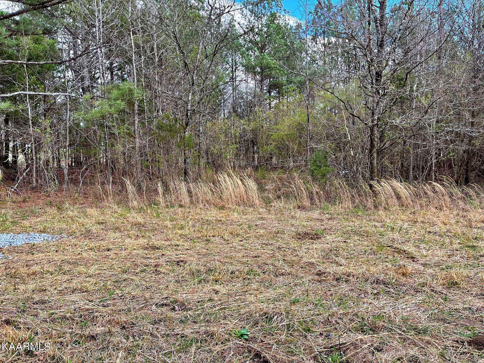 Decatur, TN 37322,Lot 2 County Road 188