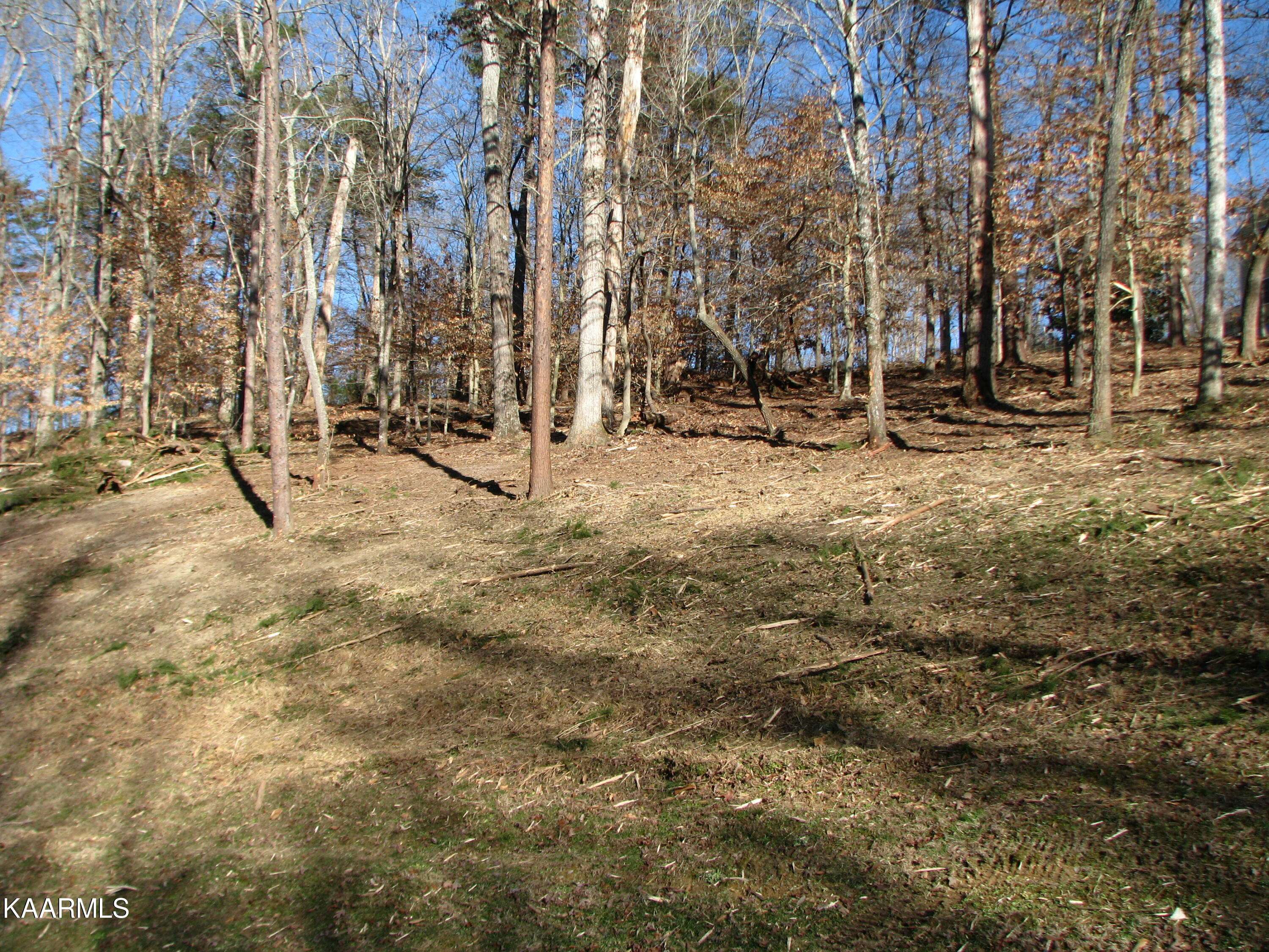 Dandridge, TN 37725,Lot 11 Cove Springs DR