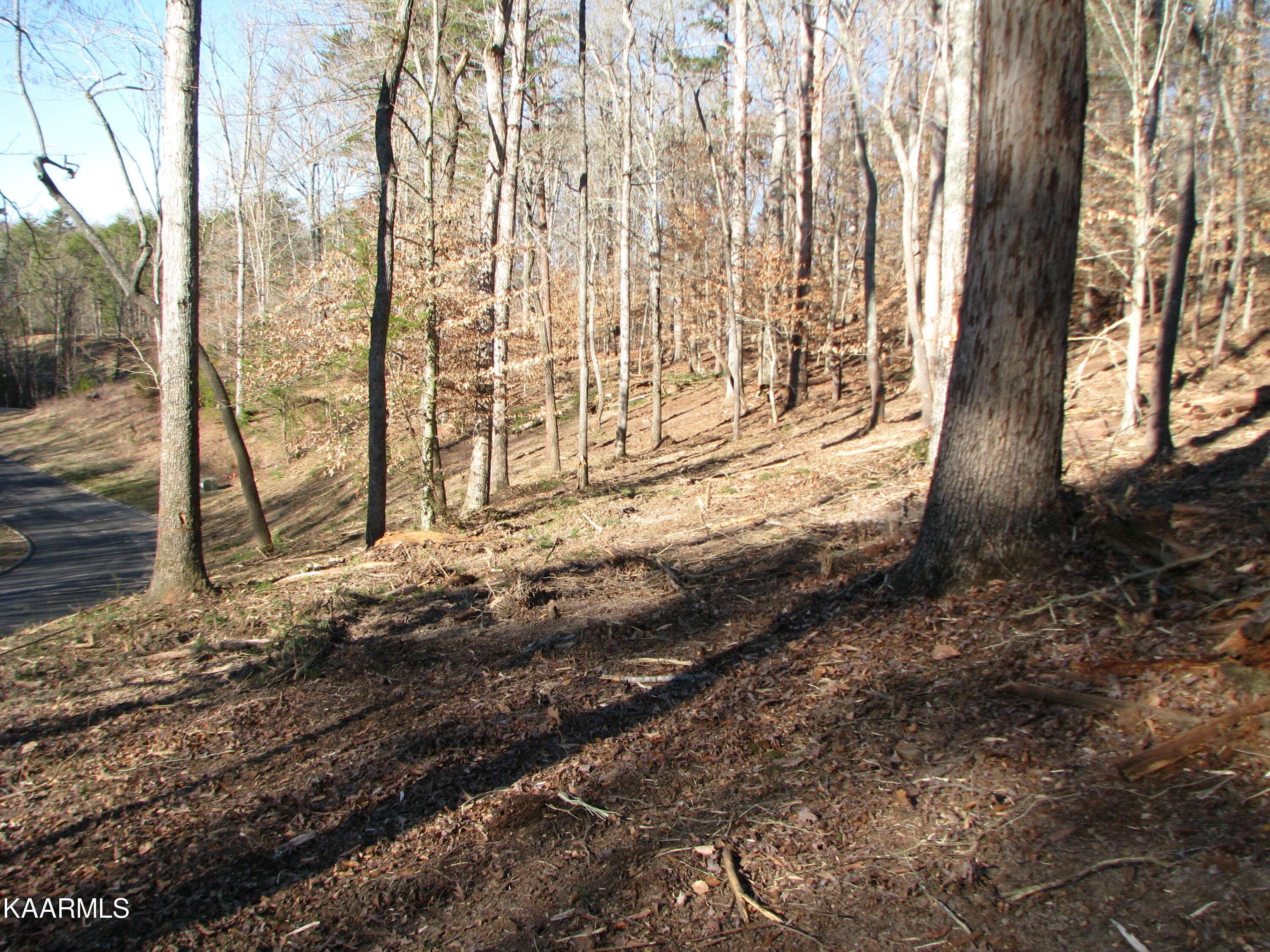 Dandridge, TN 37725,Lot 11 Cove Springs DR