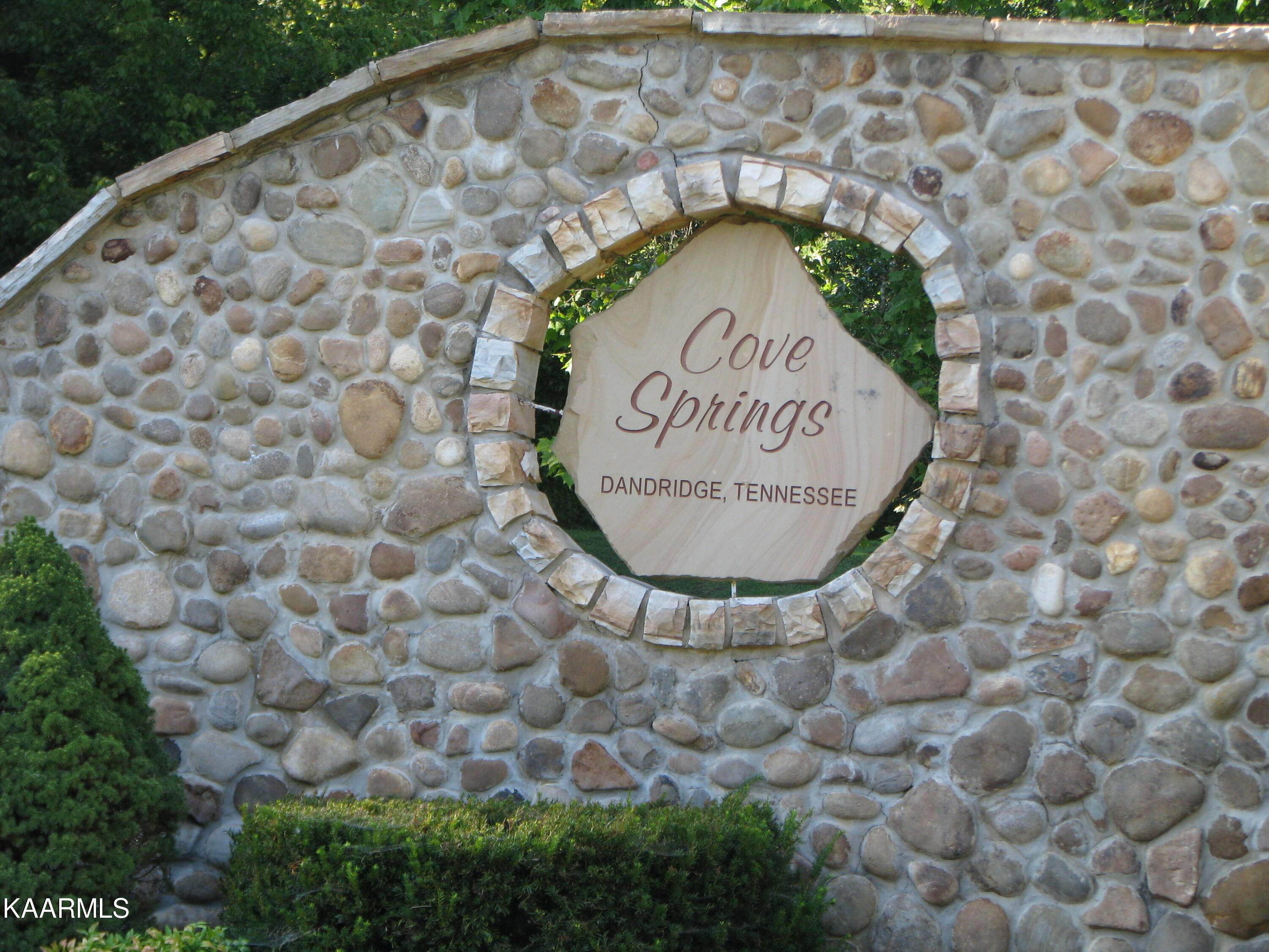 Dandridge, TN 37725,Lot 11 Cove Springs DR