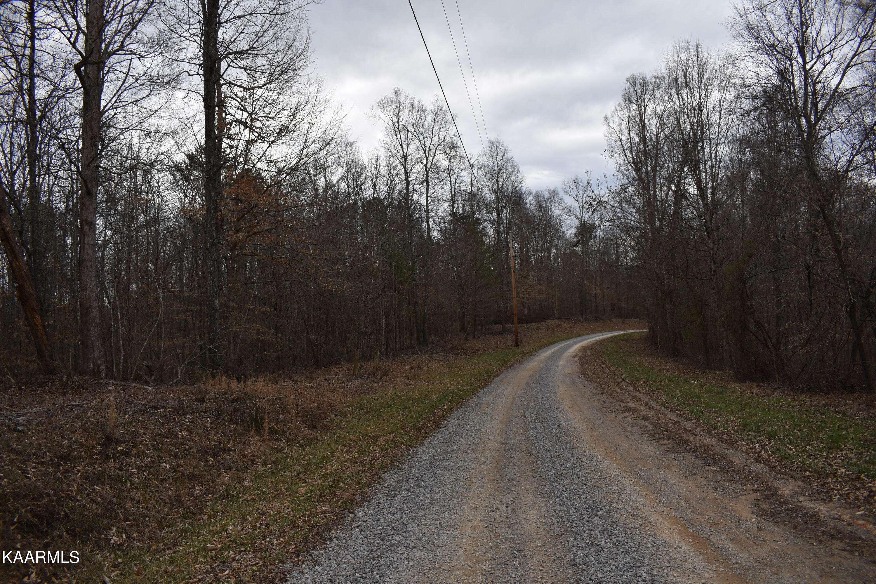 Speedwell, TN 37870,Lot 7 Jones Ridge Rd