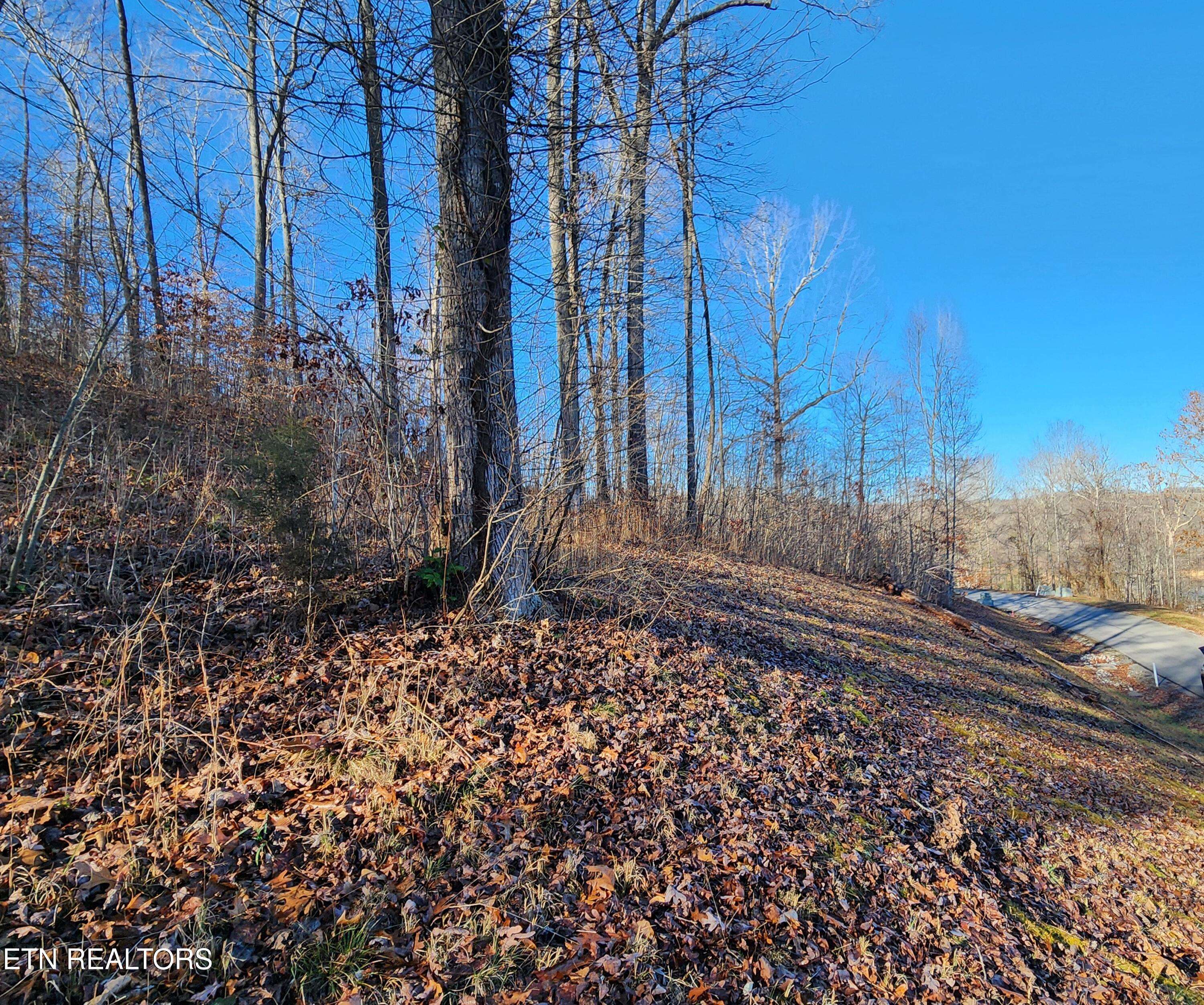 Lafollette, TN 37766,Lot 137 Suncrest CV