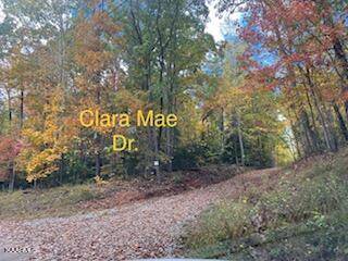 Rockwood, TN 37854,278 Clara Mae Dr