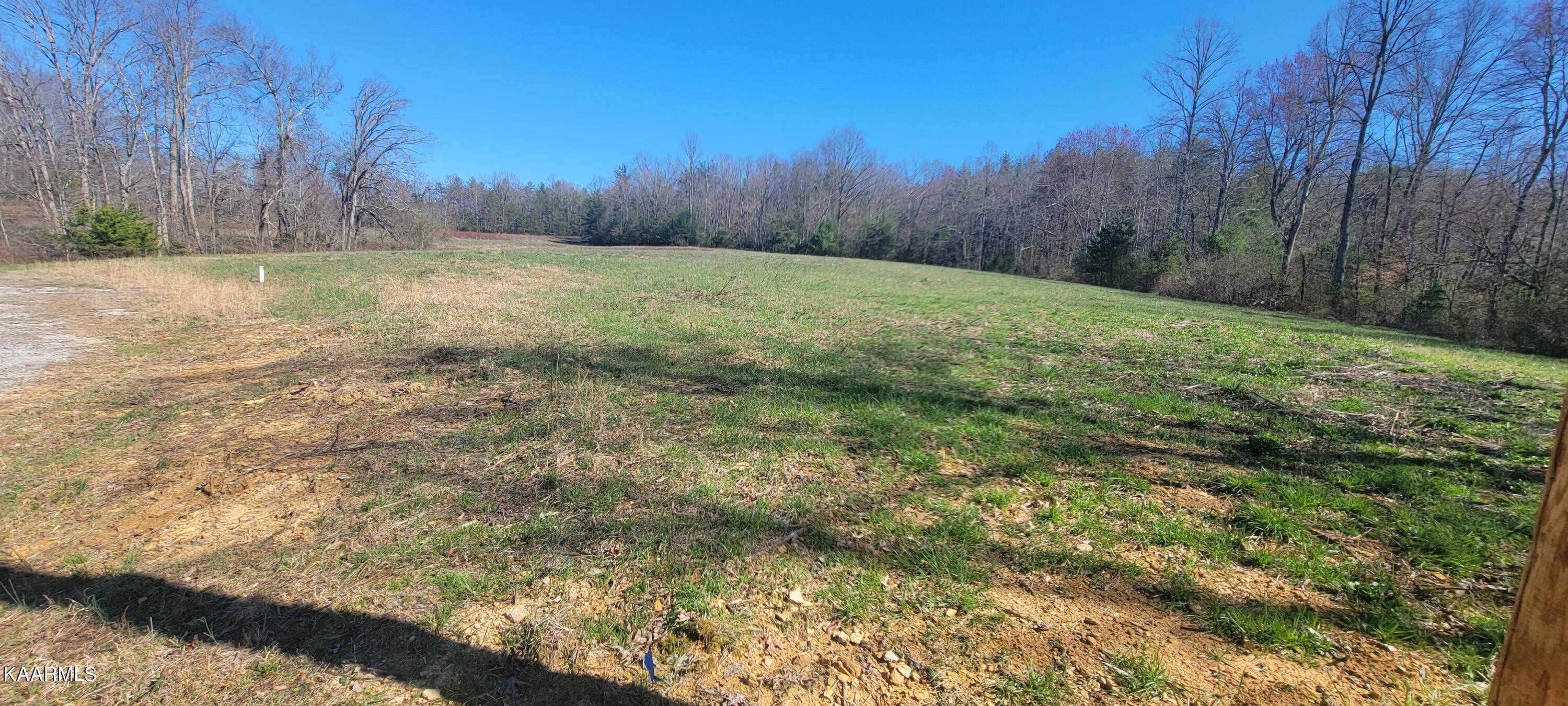 Deer Lodge, TN 37726,Lot 90 Four Mile Creek Rd