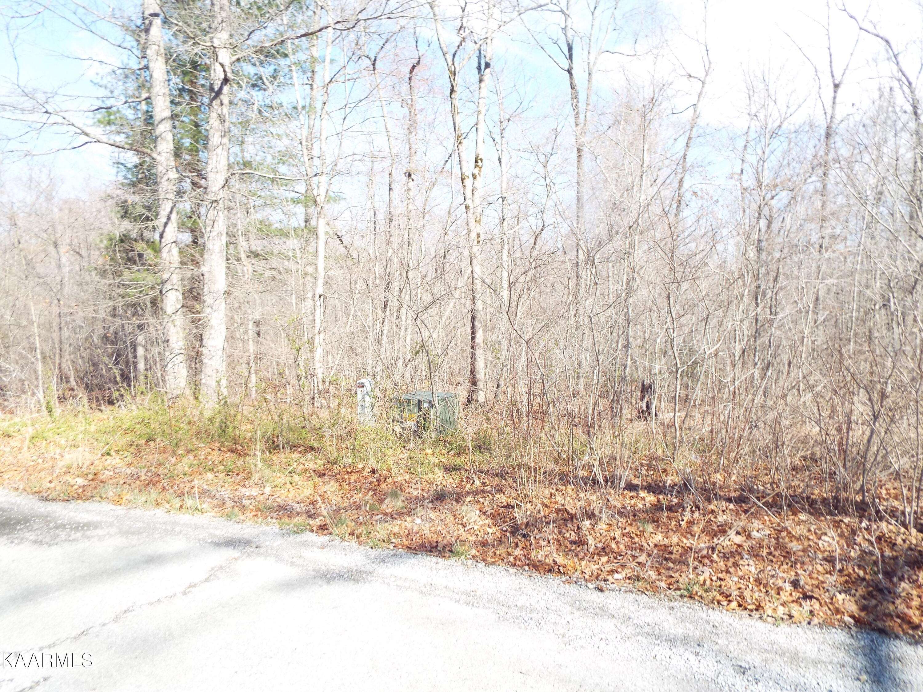 Crab Orchard, TN 37723,Lot 3 Mtn Preserve Pkwy