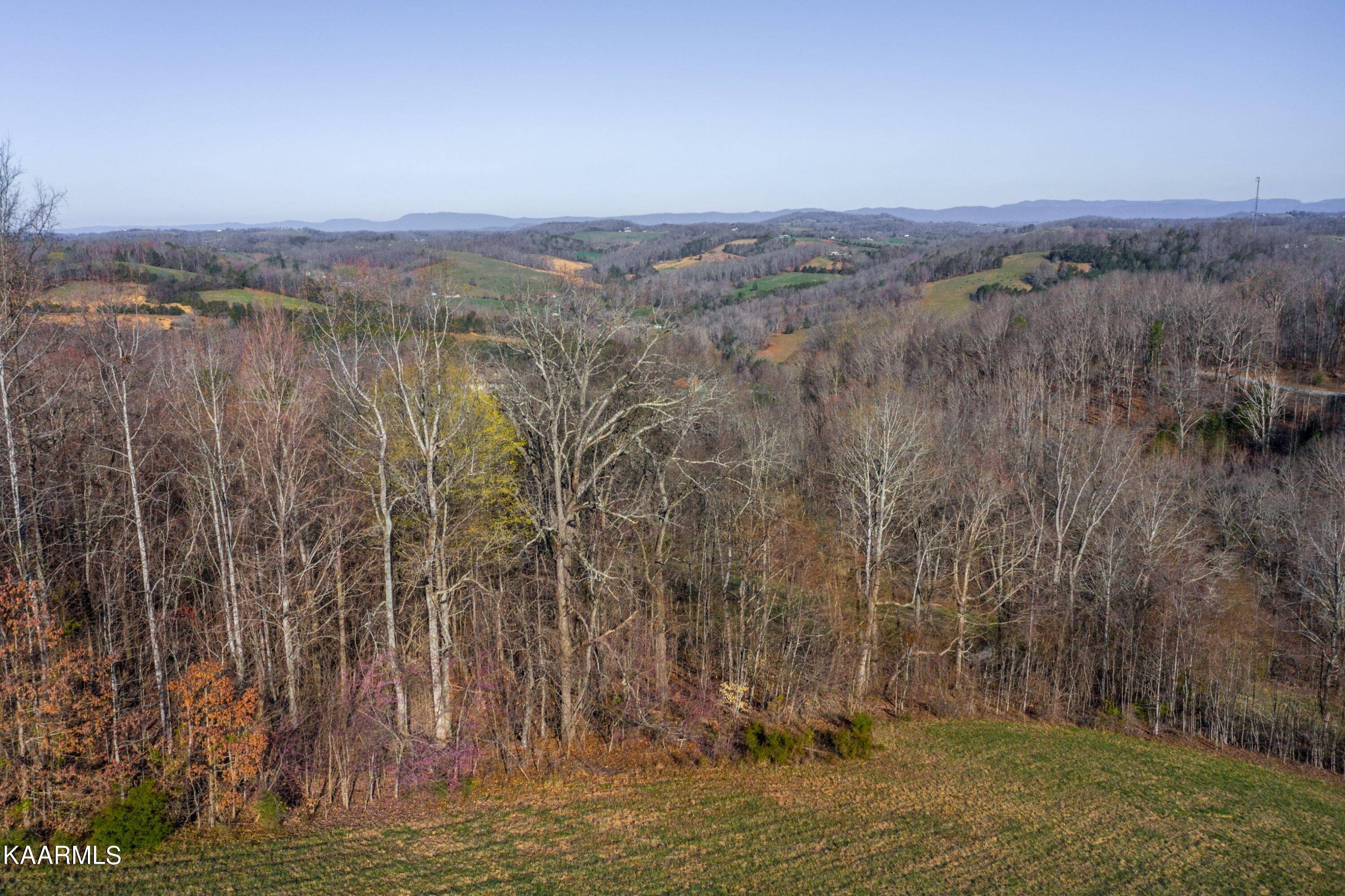 New Tazewell, TN 37825,Flagstone LOOP