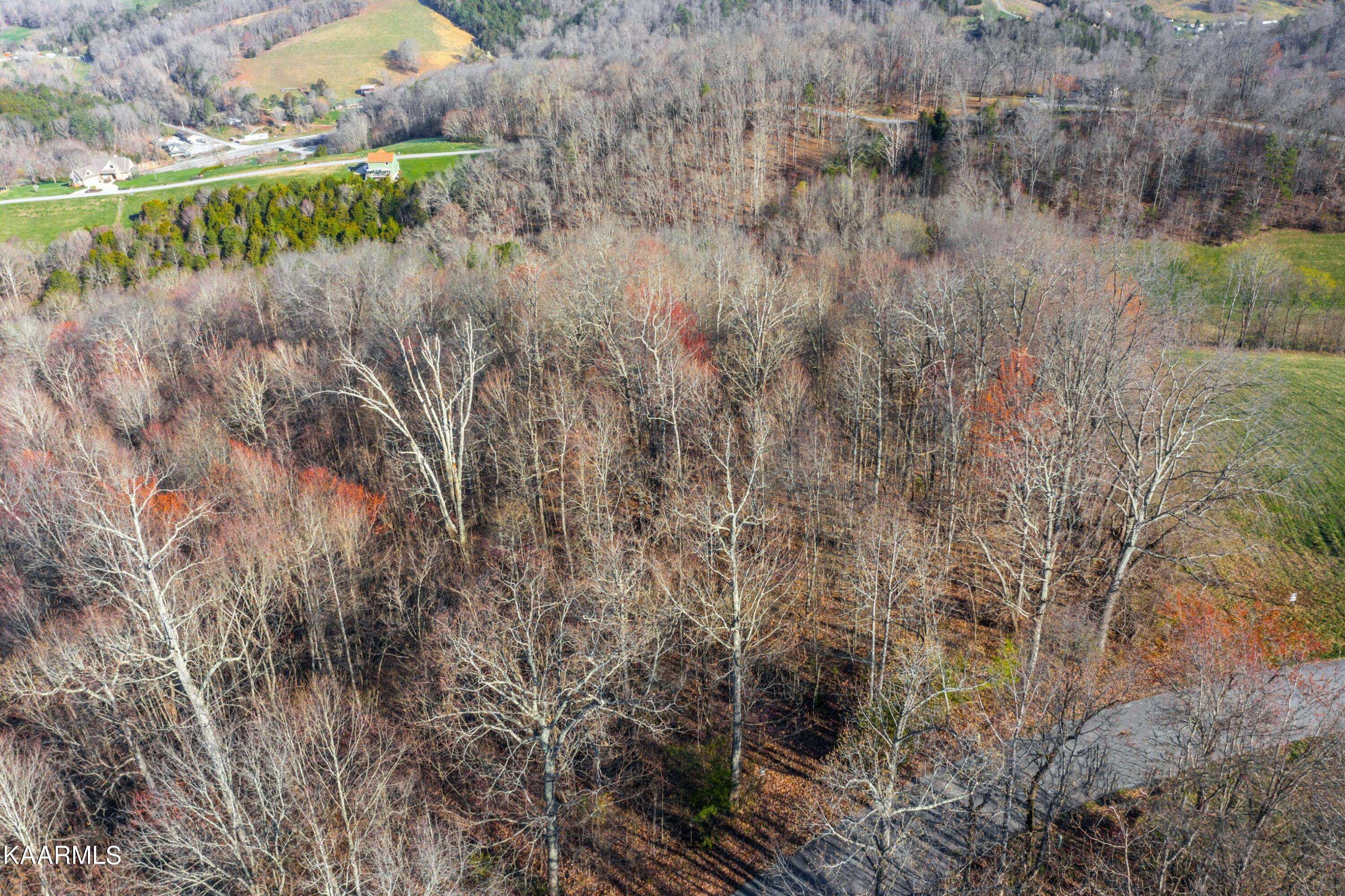 New Tazewell, TN 37825,Flagstone LOOP