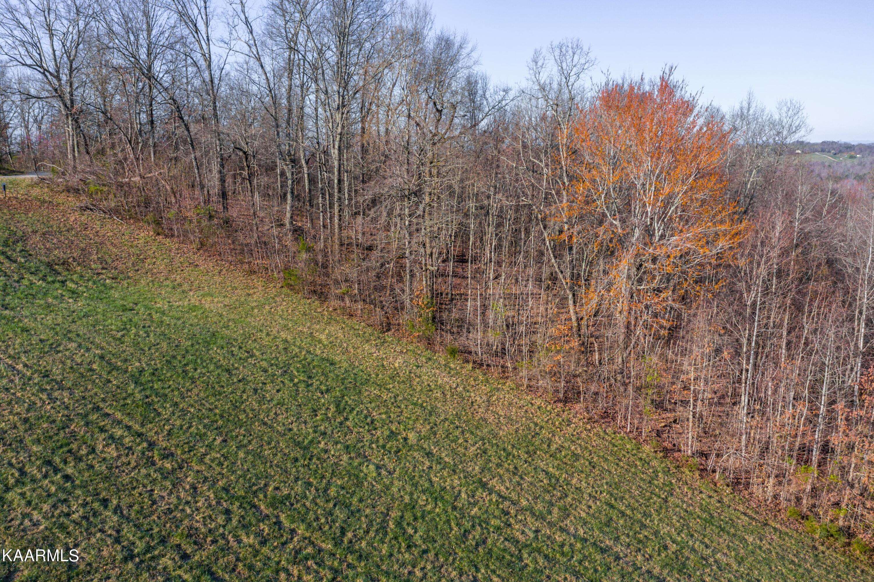 New Tazewell, TN 37825,Flagstone LOOP