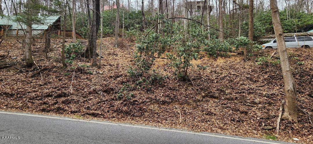 Gatlinburg, TN 37738,Lot 45 Ski Mountain Rd