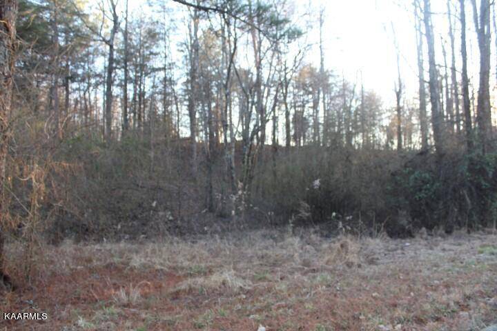 Etowah, TN 37331,COUNTY ROAD 786  Lot 2