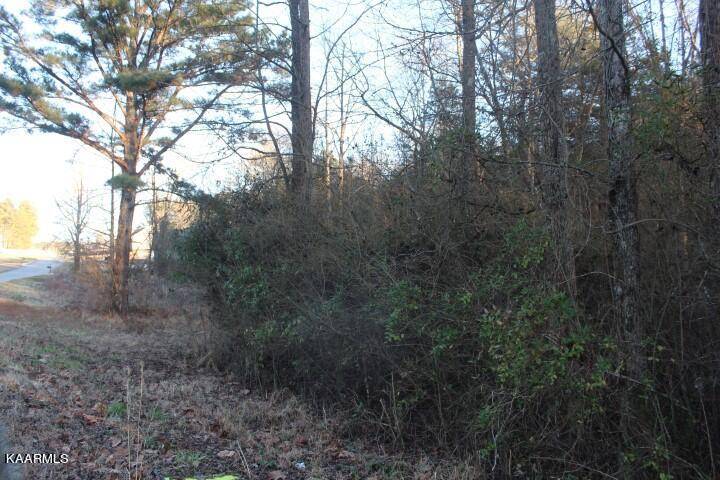 Etowah, TN 37331,COUNTY ROAD 786  Lot 2