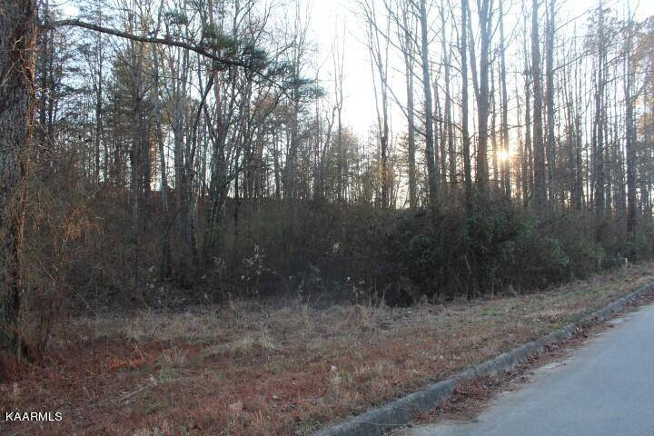 Etowah, TN 37331,COUNTY ROAD 786  Lot 2