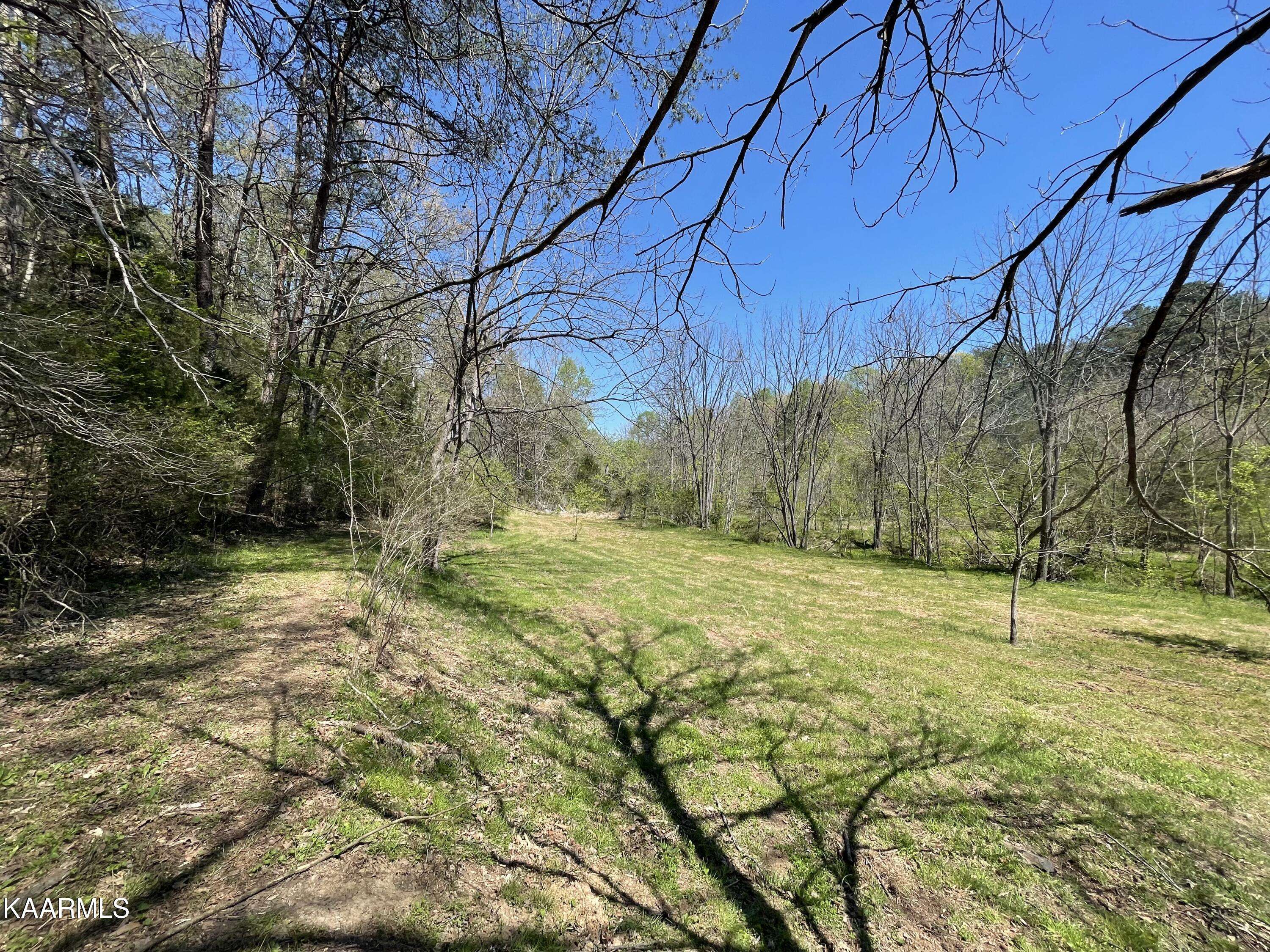 Tellico Plains, TN 37385,72a Reagan Valley Rd