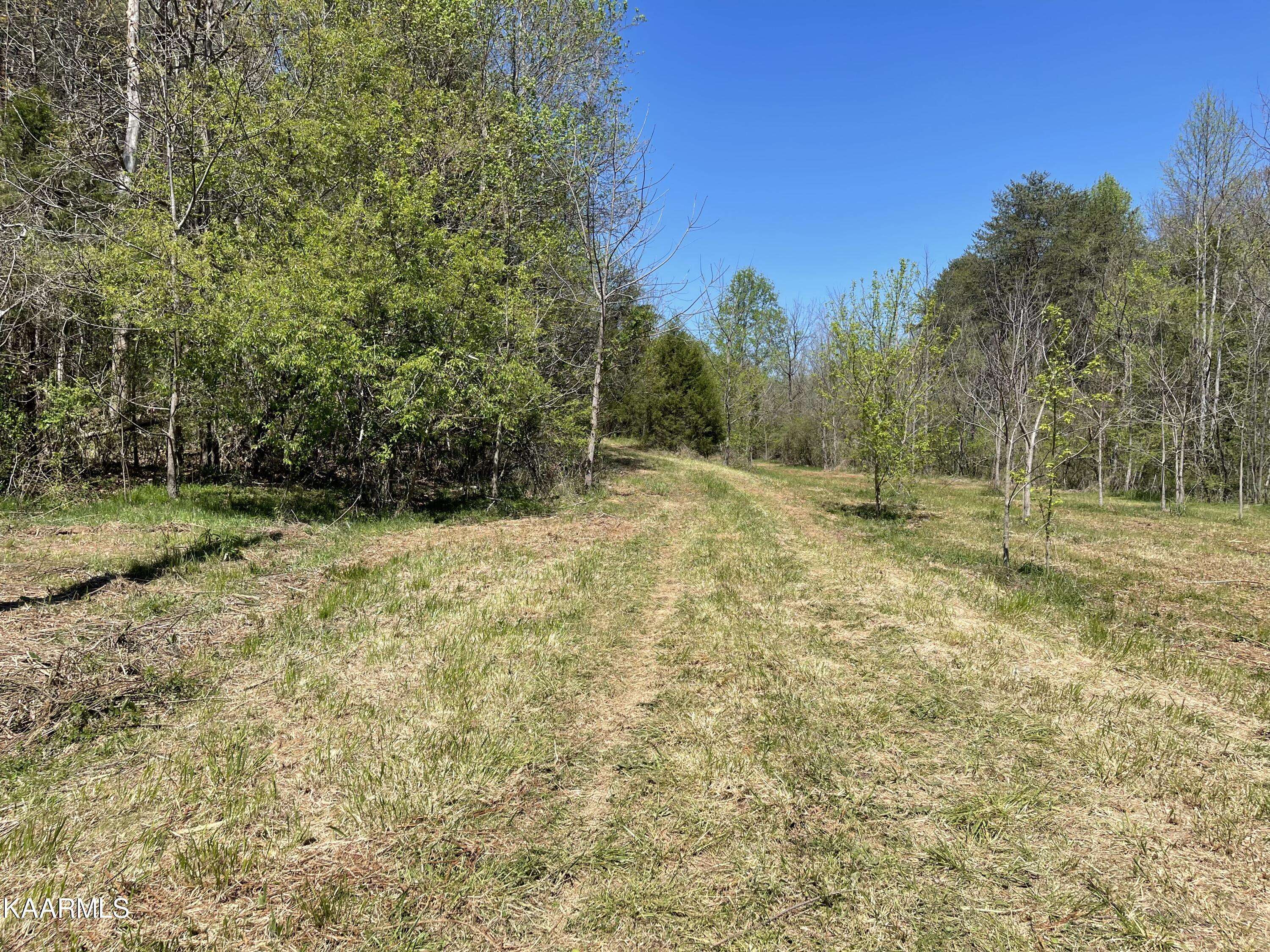 Tellico Plains, TN 37385,72a Reagan Valley Rd