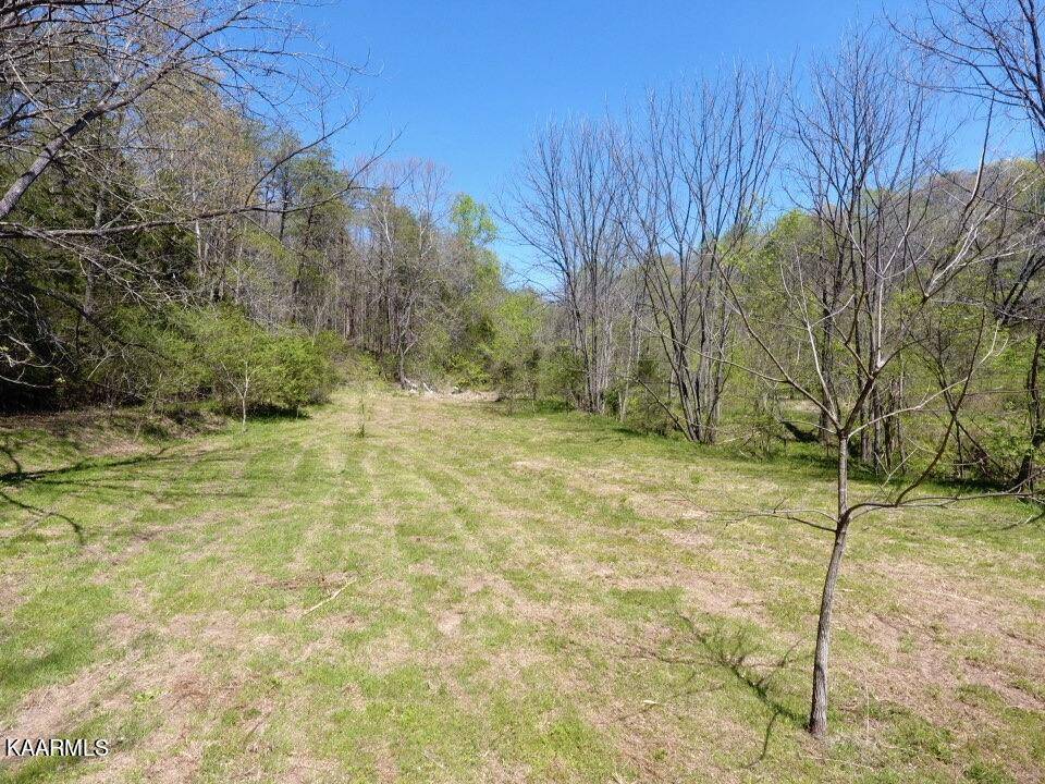 Tellico Plains, TN 37385,72a Reagan Valley Rd